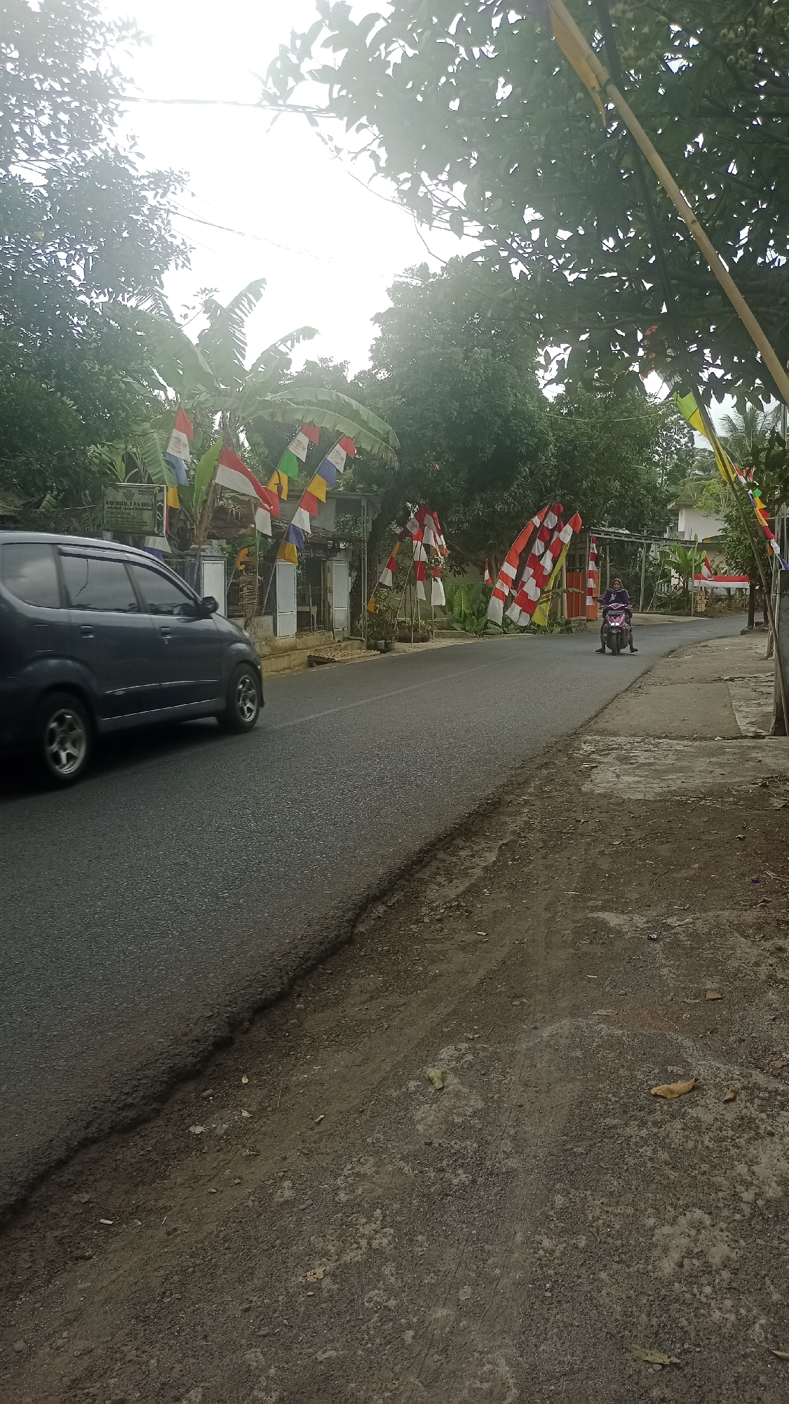 The image depicts a roadside scene in Cibeber, Indonesia, characterized by a gray asphalt road with a dirt shoulder. A dark gray minivan is captured in motion on the left side of the road, its wheels blurred due to movement. On the right side of the road, a person is riding a scooter, also in motion. The roadside is adorned with numerous Indonesian flags, predominantly red and white, with some yellow and blue flags interspersed, suggesting a festive or patriotic occasion. These flags are mounted on poles and appear to be part of a roadside display or decoration. Lush green trees with dense foliage frame the upper portion of the image, with sunlight filtering through the leaves, creating a bright sky. In the background, there are structures that appear to be houses or small buildings. The environment suggests a rural or semi-urban setting within Cibeber.