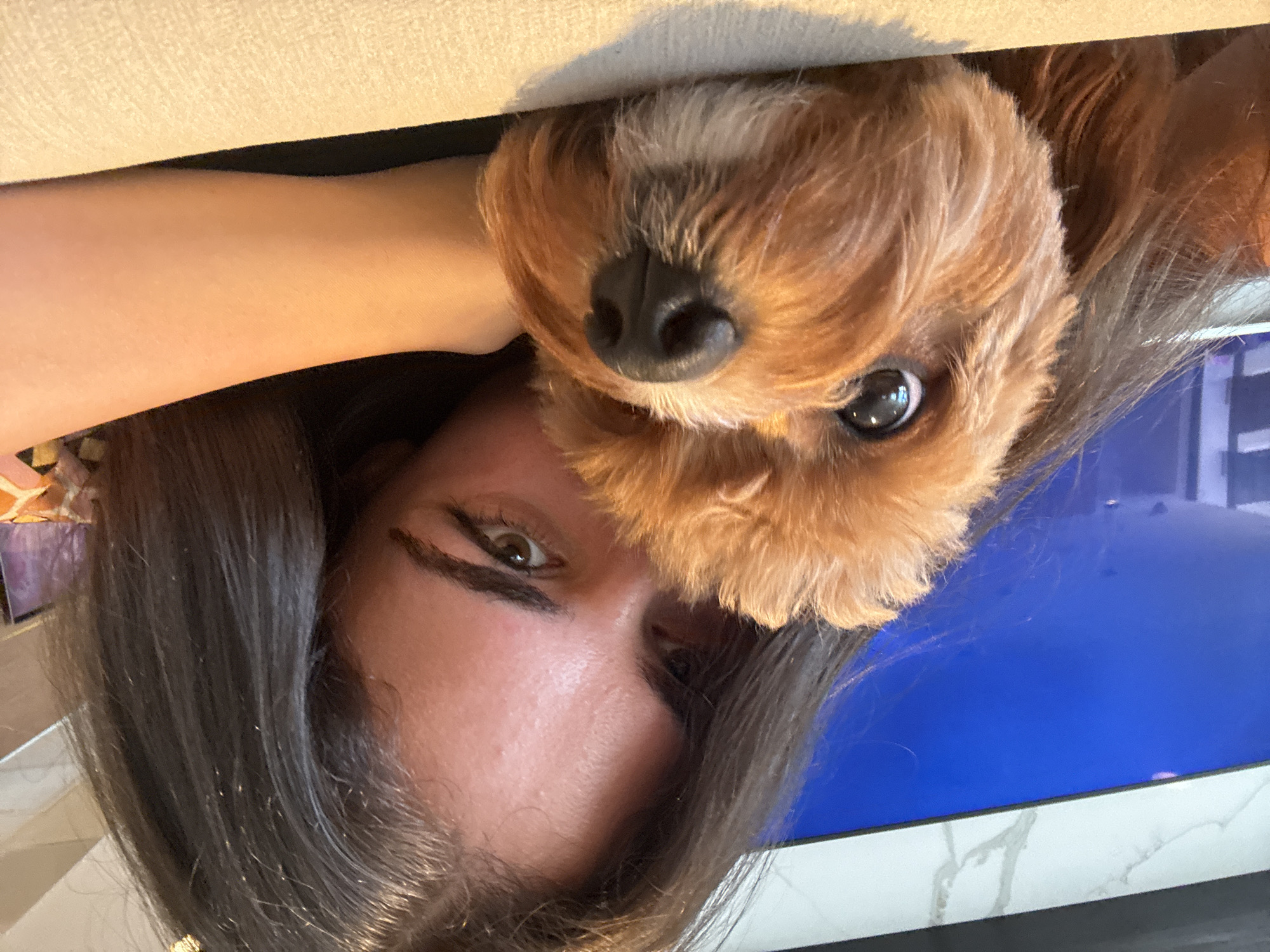 A young woman with long, dark hair is captured in a close-up selfie, her face partially obscured by a small, tan-colored dog. The dog's face, with its round, dark eyes and black nose, is positioned in the foreground, resting on a textured, light-colored surface. The woman's right arm is visible, leaning on the same surface. Behind them, a large blue screen, possibly a television or monitor, is illuminated, with a section of marble-patterned wall above it. The setting appears to be indoors, likely a living room or den. The image was taken in Boca Raton, Florida, United States of America.