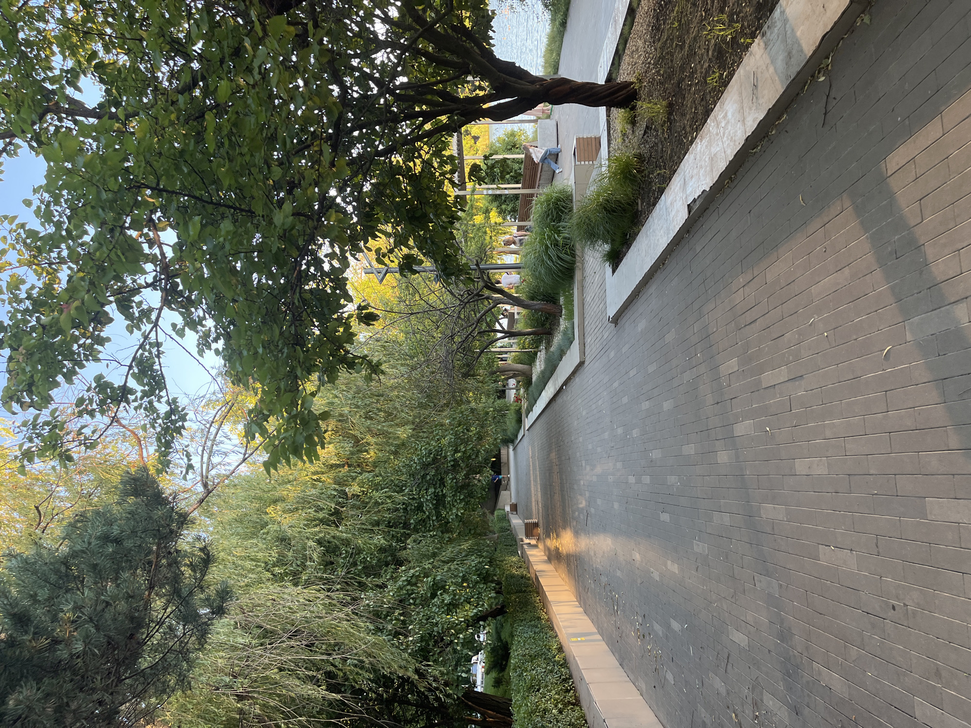 The image shows a paved pedestrian walkway alongside a body of water, likely the Kuban River in Krasnodar, Russia. Trees line the walkway on the left, casting shadows, while on the right, there are more trees, benches, and some people. The sun is low in the sky, indicating it is either early morning or late afternoon, with warm light illuminating parts of the scene. The walkway is made of rectangular pavers and shows some signs of wear and tear, with a few leaves scattered on it. A low, concrete wall runs along the left side of the walkway, topped with manicured green bushes. On the right side, there are several benches and some people are seated or walking. The water is calm and reflects the sky and surrounding trees. The overall scene depicts a tranquil public space in a city park or promenade.