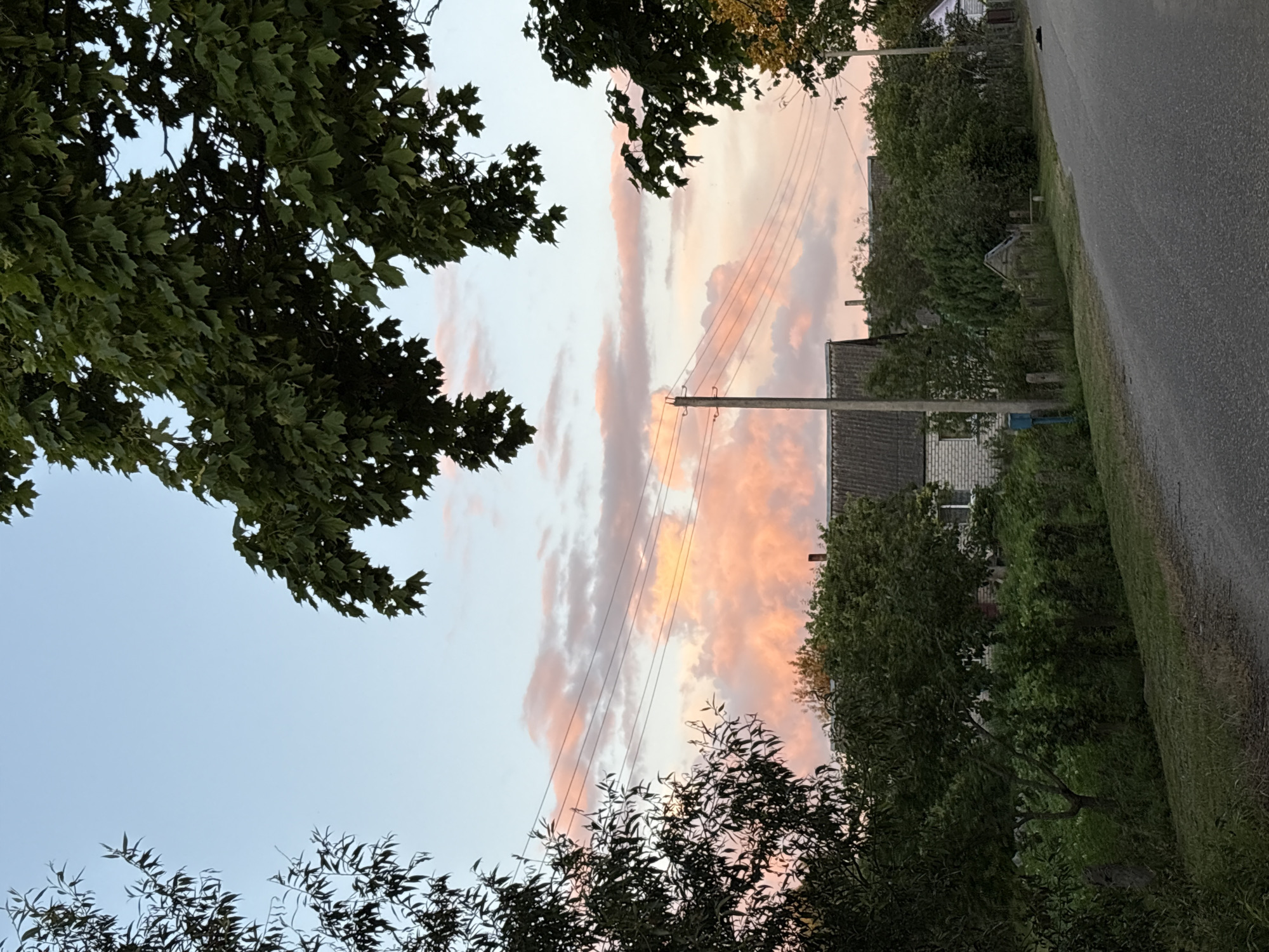 The image depicts a rural road scene in the vicinity of Відзаўскі сельскі Савет, Belarus, during what appears to be sunset or sunrise. The sky is a pale blue with prominent, large clouds tinged with shades of pink and orange, indicating soft, diffused light. Silhouetted against the sky are the dark green leaves of trees framing the top and sides of the frame.
In the middle ground, several houses with grey, corrugated roofs are visible, interspersed with dense green foliage and trees. A wooden pole with several power lines stretching across it stands near the center of the frame. The road itself is paved and runs from the lower right corner towards the center. A narrow, grassy verge runs alongside the road, and beyond that, a fence separates the road from a property with more vegetation and buildings.
The overall impression is one of a quiet, rural landscape bathed in the warm, soft light of dawn or dusk. There are no people or animals visible in the image. The environment appears to be a residential area within a village or small settlement.