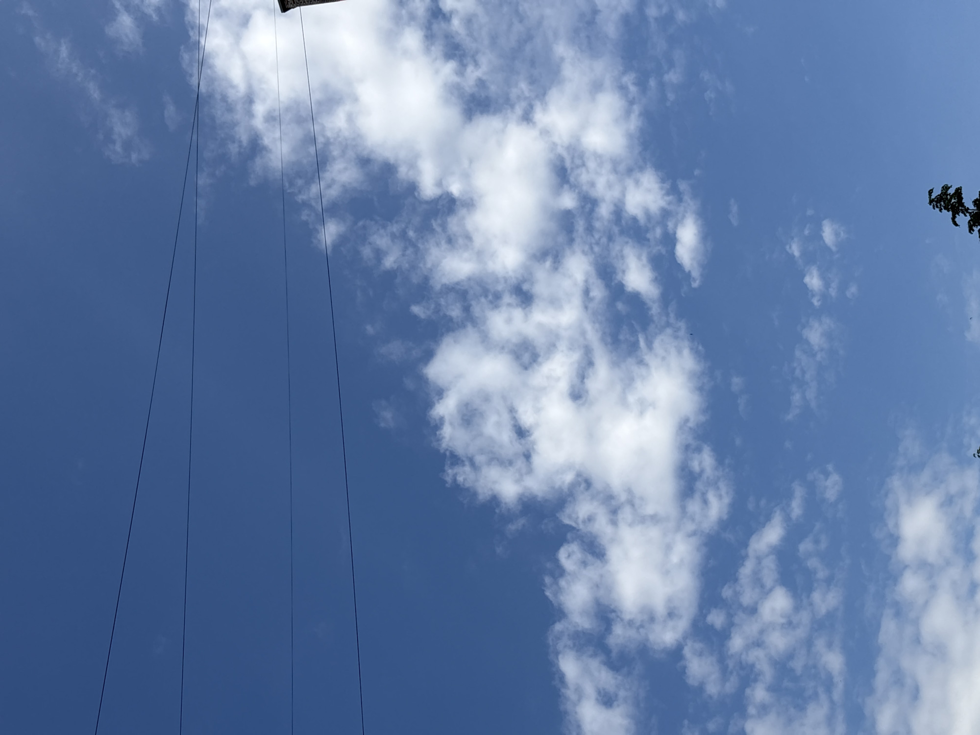 The image displays a bright blue sky with scattered white cumulus clouds, indicating a clear, sunny daytime. Several thin, dark lines, likely cables or wires, run vertically down the left and central-left portions of the frame. A dark, angular structure, possibly part of a building or an overhead installation, is partially visible along the very top edge, from which some of these lines appear to descend. On the far right, a small cluster of dark green foliage, resembling a tree branch, extends into the frame. There are no people, explicit activities, or discernible text in the image. The weather is partly cloudy and bright. The location context provided is Saint Petersburg, Russia.
