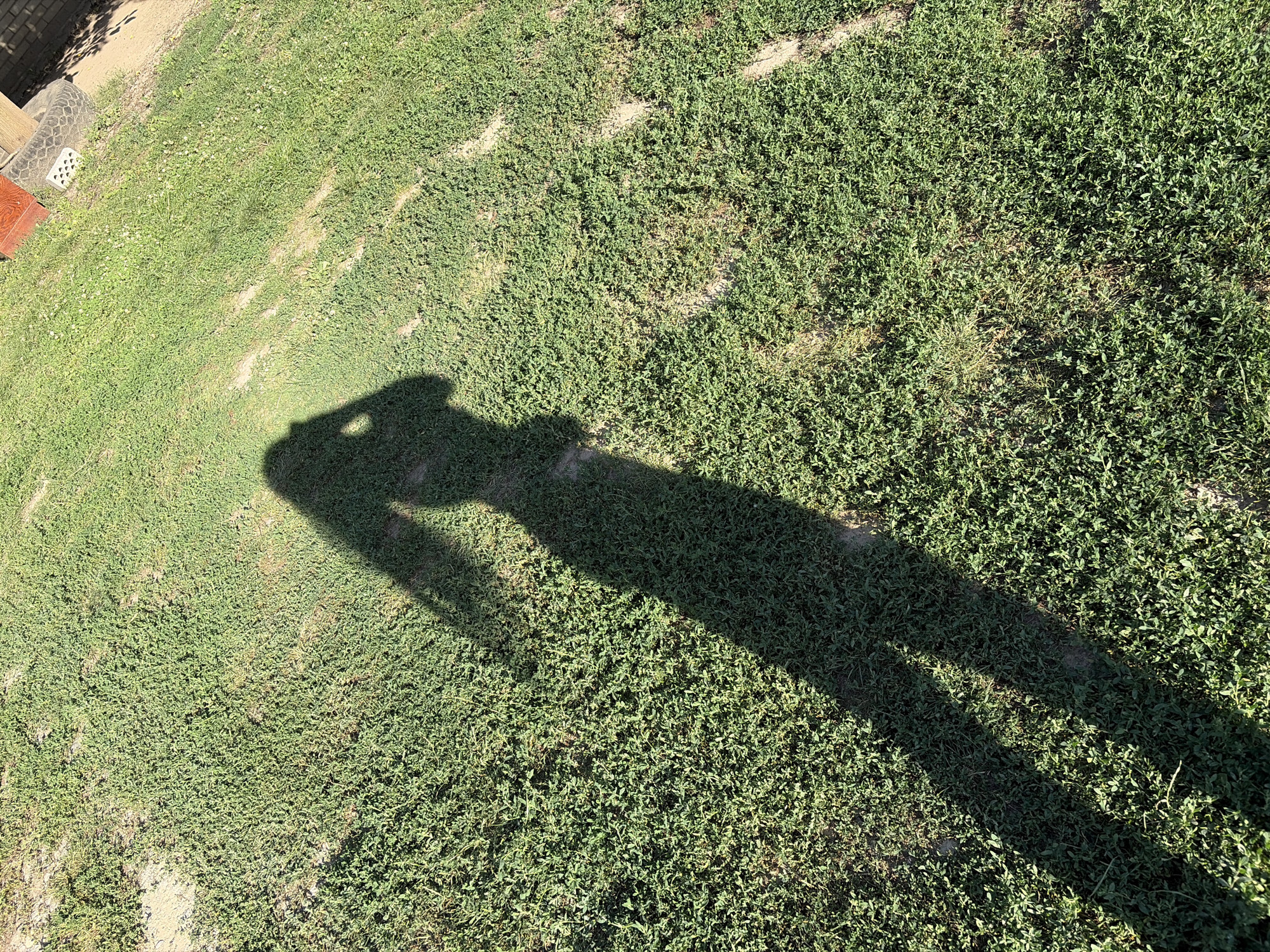A person's shadow is cast on a patch of green grass. The shadow depicts a person holding a phone to their ear, as if talking on the phone. The shadow is elongated, suggesting the sun is low in the sky. The grass is unevenly mowed, with some patches of dirt visible. In the upper left corner of the image, a brick wall and a tire can be seen, hinting at an outdoor location possibly in a yard or park. The lighting indicates it is daytime, with strong sunlight creating distinct shadows.