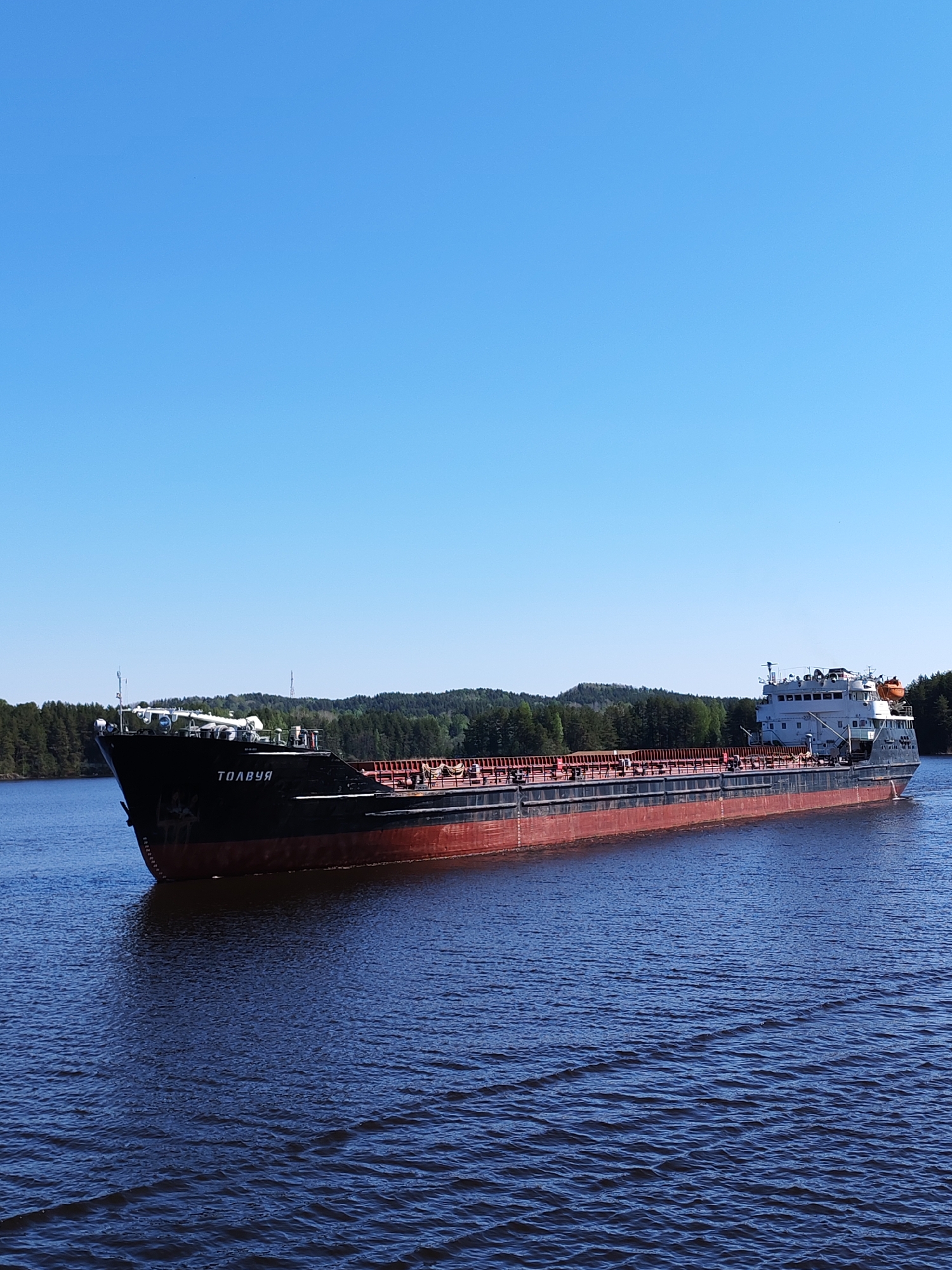 The image depicts a large cargo ship, labeled "ТОЛВУЯ" in Cyrillic script, navigating a waterway near Белоусово, Russia. The ship is predominantly black and red, with a tall white structure at the stern. Dense green trees line the distant shore, forming a forested backdrop. The water is dark blue, with noticeable ripples and wave patterns. The sky above is clear and bright blue, devoid of clouds.