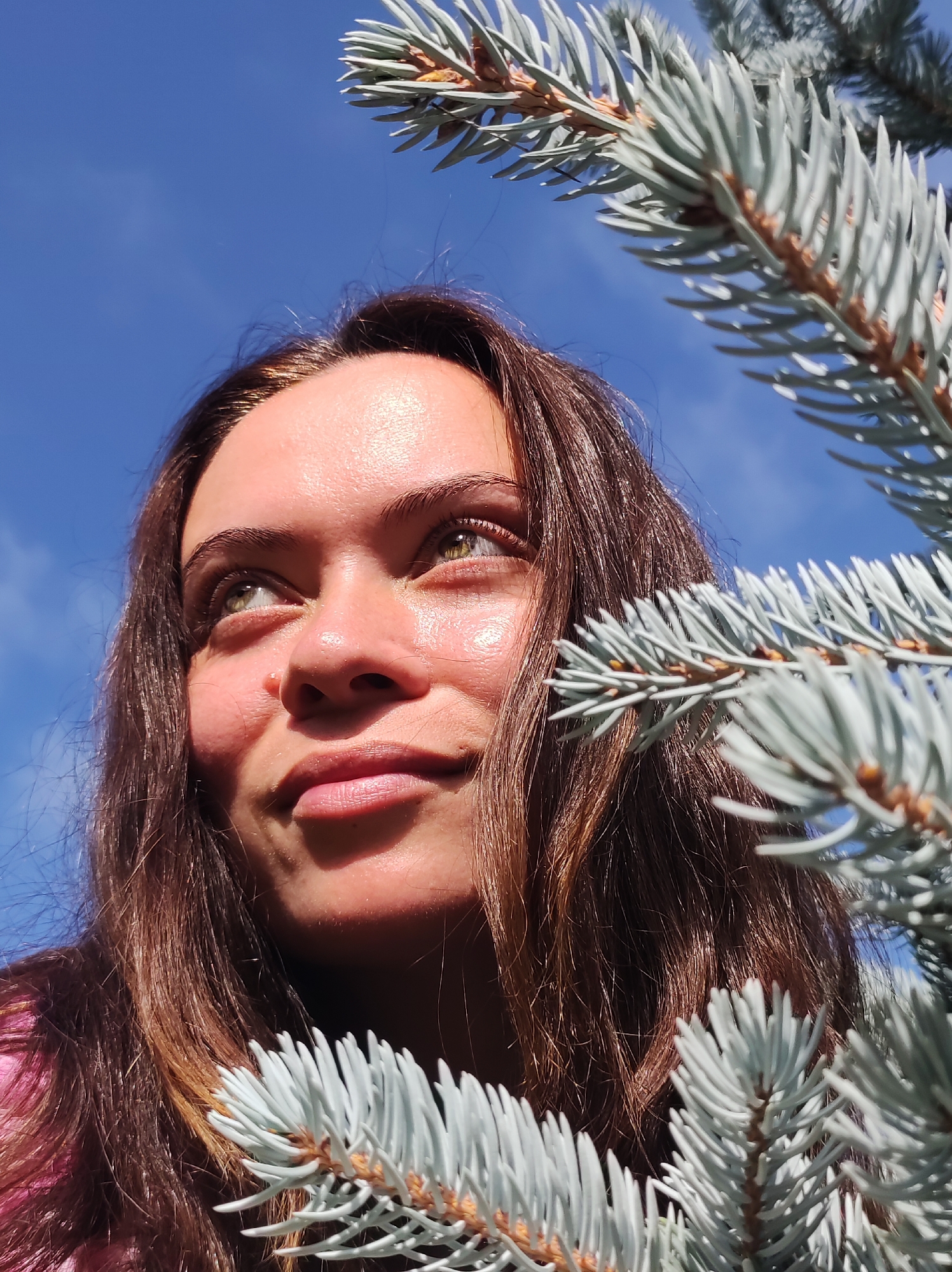 A young woman with brown hair and green eyes looks up towards the sky, framed by the branches of a blue spruce tree. Her face is illuminated by sunlight, highlighting her features. The background is a clear blue sky with a few wisps of clouds. The setting appears to be outdoors, likely in a park or garden, given the presence of the spruce tree. The city of Фоки, Russia, is mentioned in the prompt, suggesting this location, though there are no specific landmarks in the image to confirm this. The woman is wearing a pink shirt. The image is a close-up shot, focusing on the woman's face and the foreground branches of the tree.