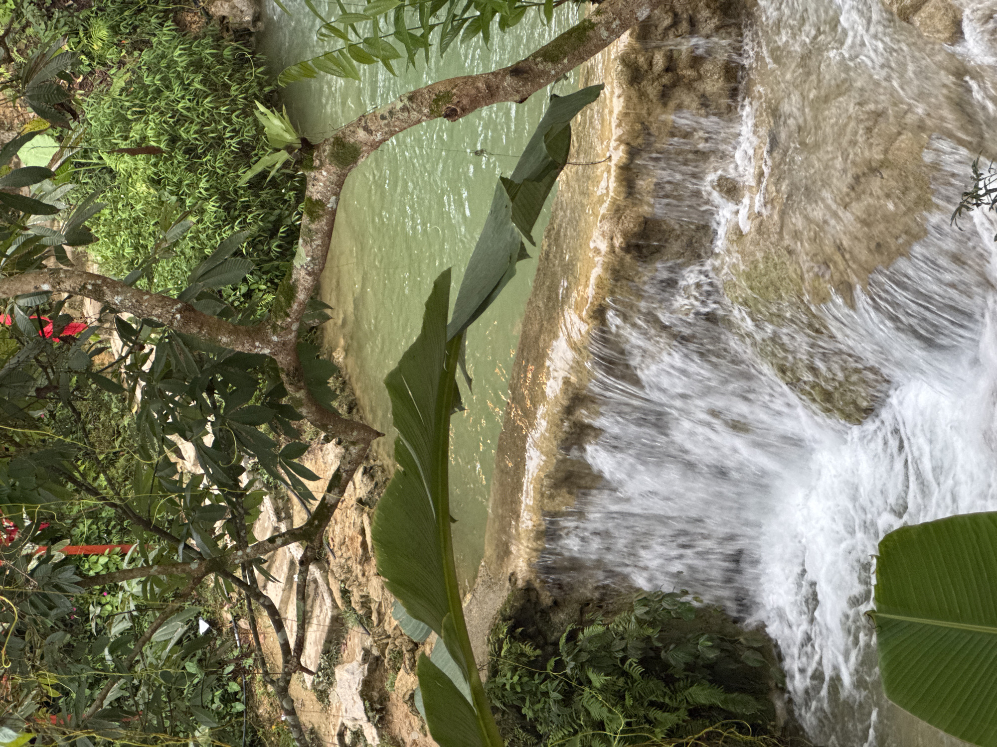 The image depicts a natural scene in Cổ Lũng Commune, Vietnam, featuring a cascading waterfall flowing into a clear, turquoise pool. Lush green vegetation, including trees with large leaves and dense foliage, surrounds the water. The waterfall spills over a rocky, tiered ledge, creating a frothy white spray at its base. The water appears clean and inviting. The overall impression is one of natural beauty and tranquility. There are no people or artificial structures visible in the scene.
