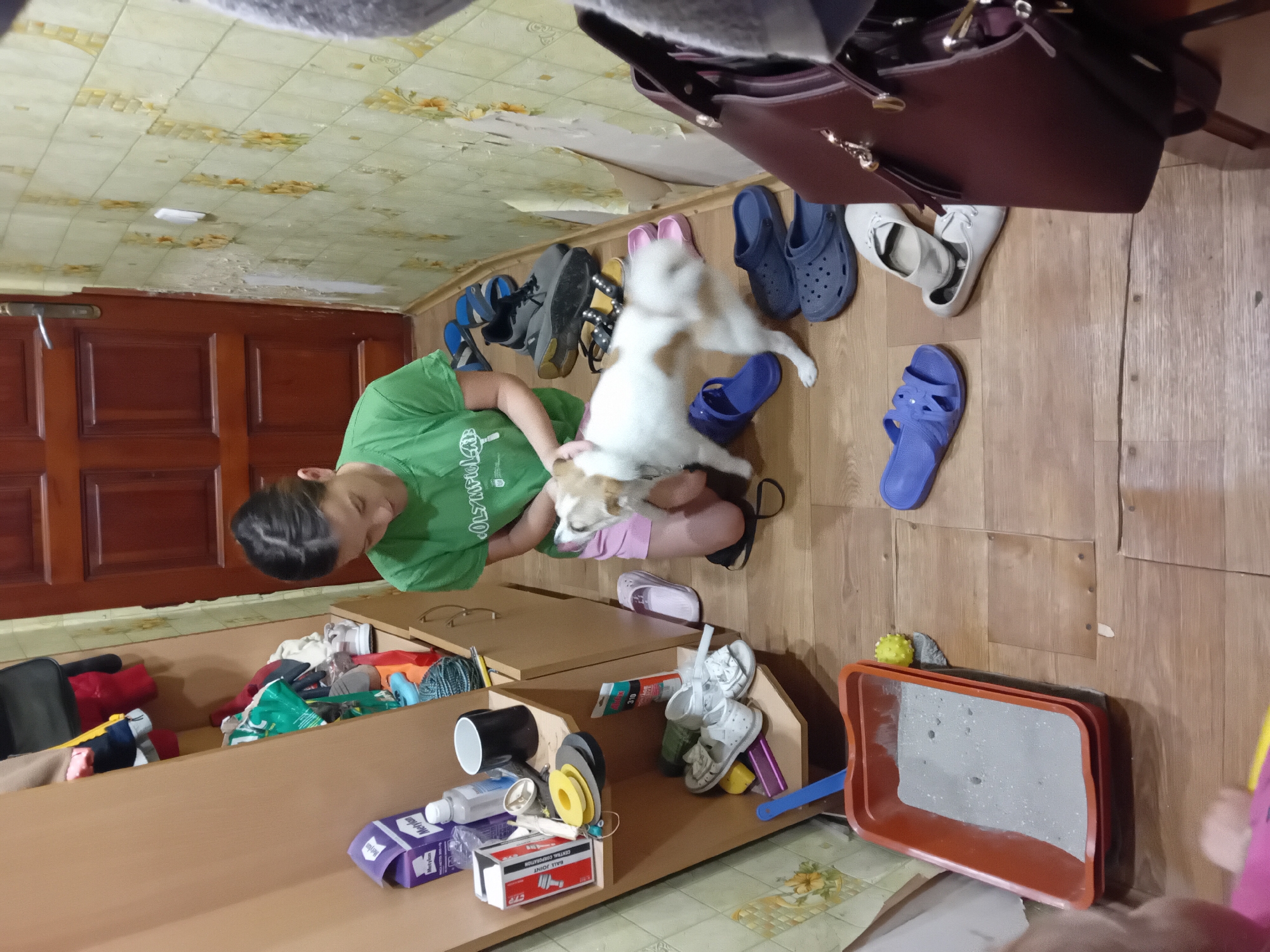 A young woman in a green t-shirt and pink shorts kneels on a wooden floor in what appears to be a narrow hallway or entryway. She is interacting with a small, light-colored dog with brown markings, which is also on the floor. The dog is licking the woman's face. The environment is cluttered with various footwear scattered around the floor, including flip-flops, sneakers, and clogs in shades of blue, gray, pink, and white. To the left, a wooden shelf unit is visible, containing toiletries, containers, and more shoes. A reddish-brown cat litter box filled with gray litter is on the floor in the foreground. A dark red handbag is positioned on the right side of the image. The walls are covered with faded yellow wallpaper featuring a floral pattern, and a wooden door with a brass handle is visible in the background. The overall scene suggests a domestic setting. This image is likely taken in Chuhuiv, Ukraine, a city known for its residential areas and common hallway configurations in apartment buildings.
