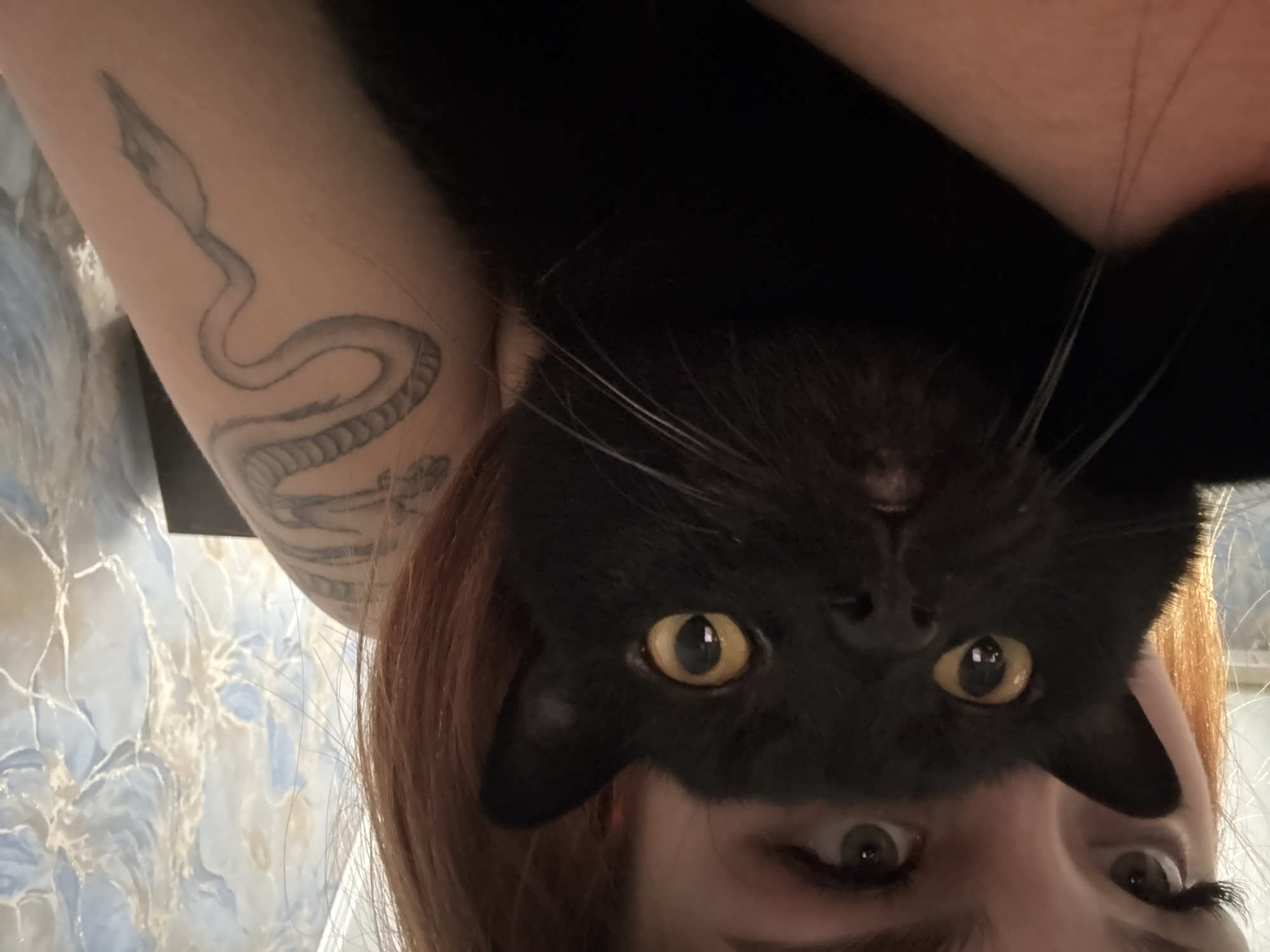 A close-up, eye-level, medium shot captures a woman holding a black cat. The woman's face is partially obscured by the cat, with only her eyes and forehead visible. She has light-colored hair and appears to be wearing makeup, including false eyelashes. The cat's head is the primary focus, with its large yellow eyes looking directly at the camera. Its mouth is slightly open, revealing a hint of its tongue. The cat's black fur is visible, along with long white whiskers. The woman's arm and shoulder are visible, featuring a tattoo of a coiled snake. The background is a blurry, abstract pattern of blue and white. The lighting appears to be natural, coming from the left side of the frame, casting soft shadows. The image conveys a sense of intimacy and affection between the woman and her pet.
