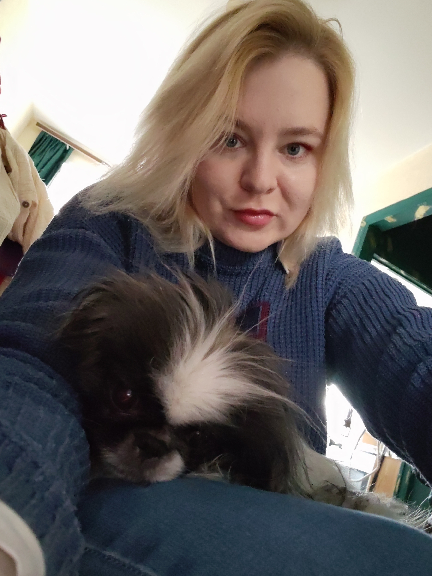 A woman with blonde hair is holding a black and white Japanese Chin dog. The woman is wearing a blue sweater and blue pants. The background is blurry, but there is a curtain and a window visible. The location is Izhevsk, Russia.