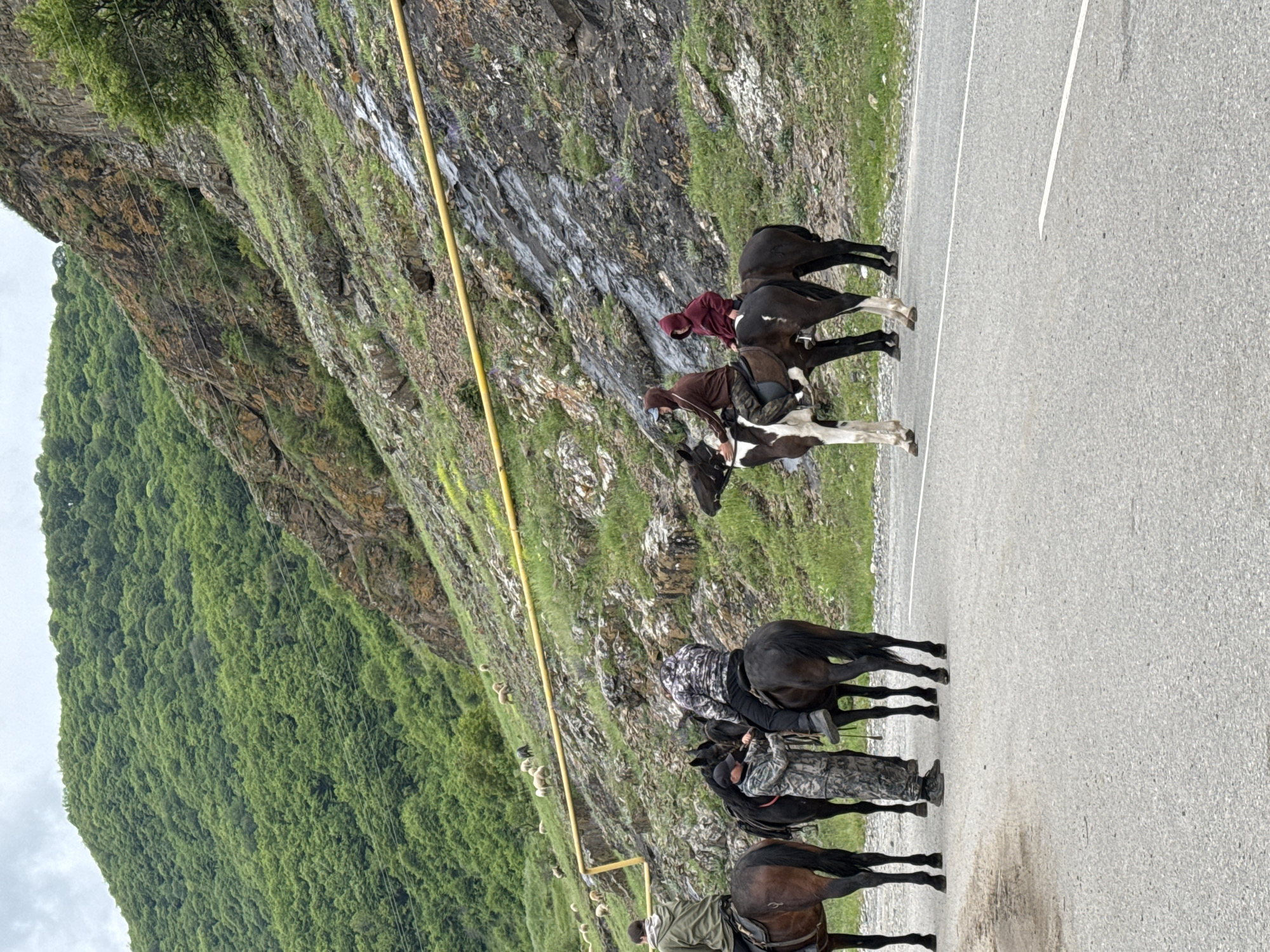 Horses with riders travel on a road beside a mountain, near the city of Каменномостский, Russia. The mountain on the left has both rocky and green vegetated sections. Sheep graze beside a yellow utility pipe running vertically alongside the mountain. The road is gray and has a painted white line marking the center. Three riders on horses are in the foreground. The riders are wearing hooded jackets and trousers. There are two more horses and riders further up the road.