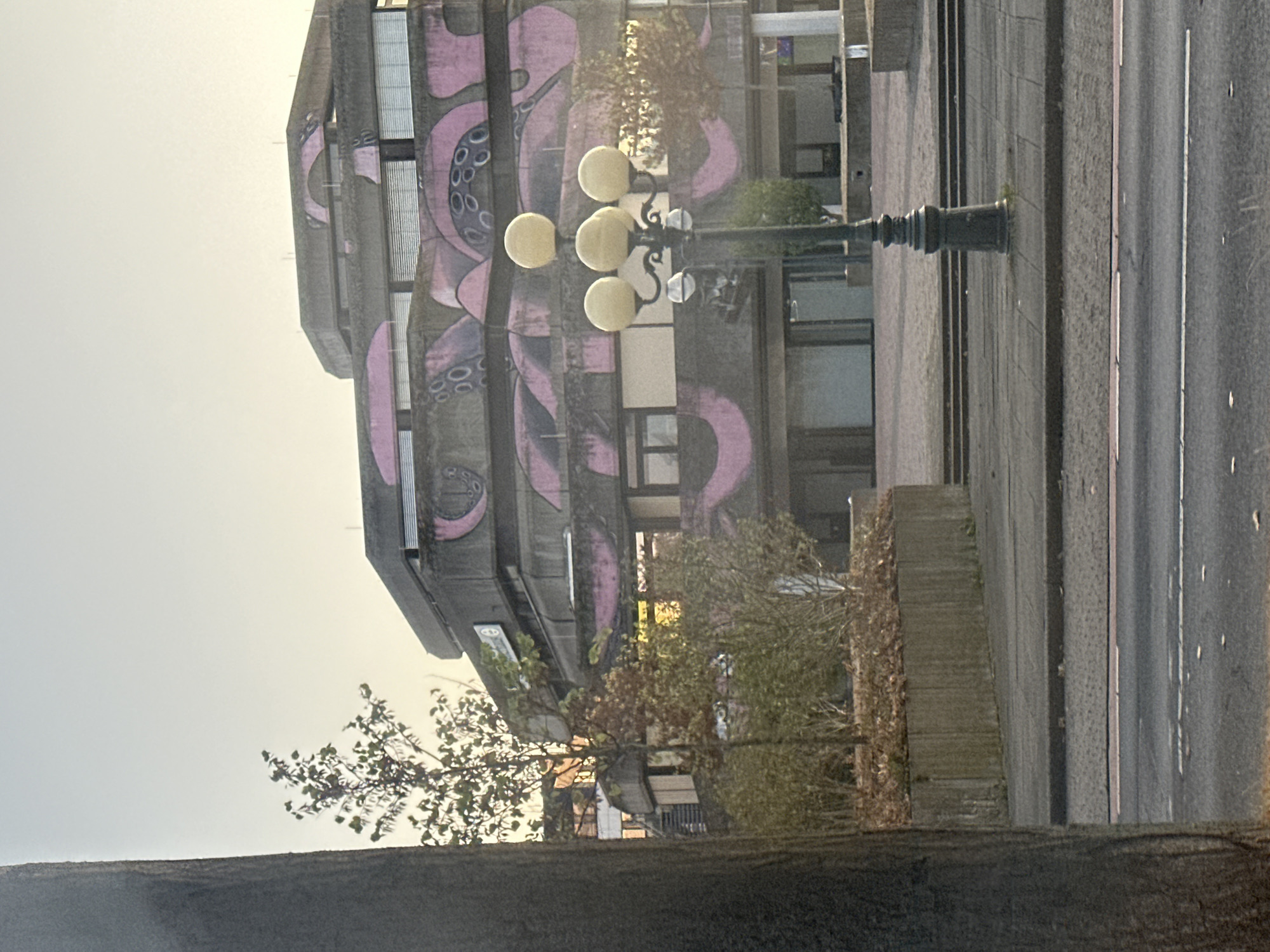 The image captures an outdoor scene in Krefeld, Germany, dominated by a Brutalist-style building with distinctive pink graffiti art resembling tentacles. The concrete building features multiple levels and numerous windows, some of which appear to be covered or boarded up. In the foreground, a street lamp with multiple round, yellow lights stands prominently. To the left, the trunk of a large tree partially obstructs the view of the building. Several smaller trees and shrubs are planted in raised concrete planters in front of the building. The ground level shows a sidewalk and a street, with a car visible in the lower part of the frame. The sky is clear and bright, suggesting it is daytime. The overall impression is of an urban environment with a stark architectural style softened by artistic intervention.