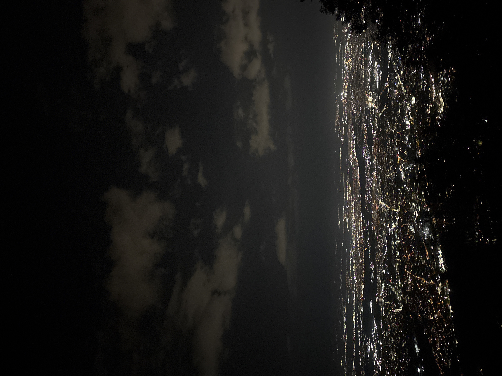 The image presents a forensic, matter-of-fact view of the city of Sofia, Bulgaria, at night, captured from an elevated perspective. The upper approximately 60% of the frame features a dark, near-black sky dotted with irregularly shaped clouds, faintly illuminated from below by urban light pollution, appearing in shades of grey and muted brown. The lower approximately 40% of the frame showcases a vast urban expanse, densely covered by thousands of artificial lights, predominantly white, yellow, and orange, which delineate streets, buildings, and infrastructure. These lights create a sprawling, intricate pattern across the landscape, extending towards the horizon where they become a diffused glow. The immediate foreground, at the very bottom edge of the image, consists of dark, silhouetted forms, consistent with trees or dense vegetation on the vantage point. No people, specific objects (beyond city lights and clouds), actions, or interactions are discernible due to the distance and lighting conditions.