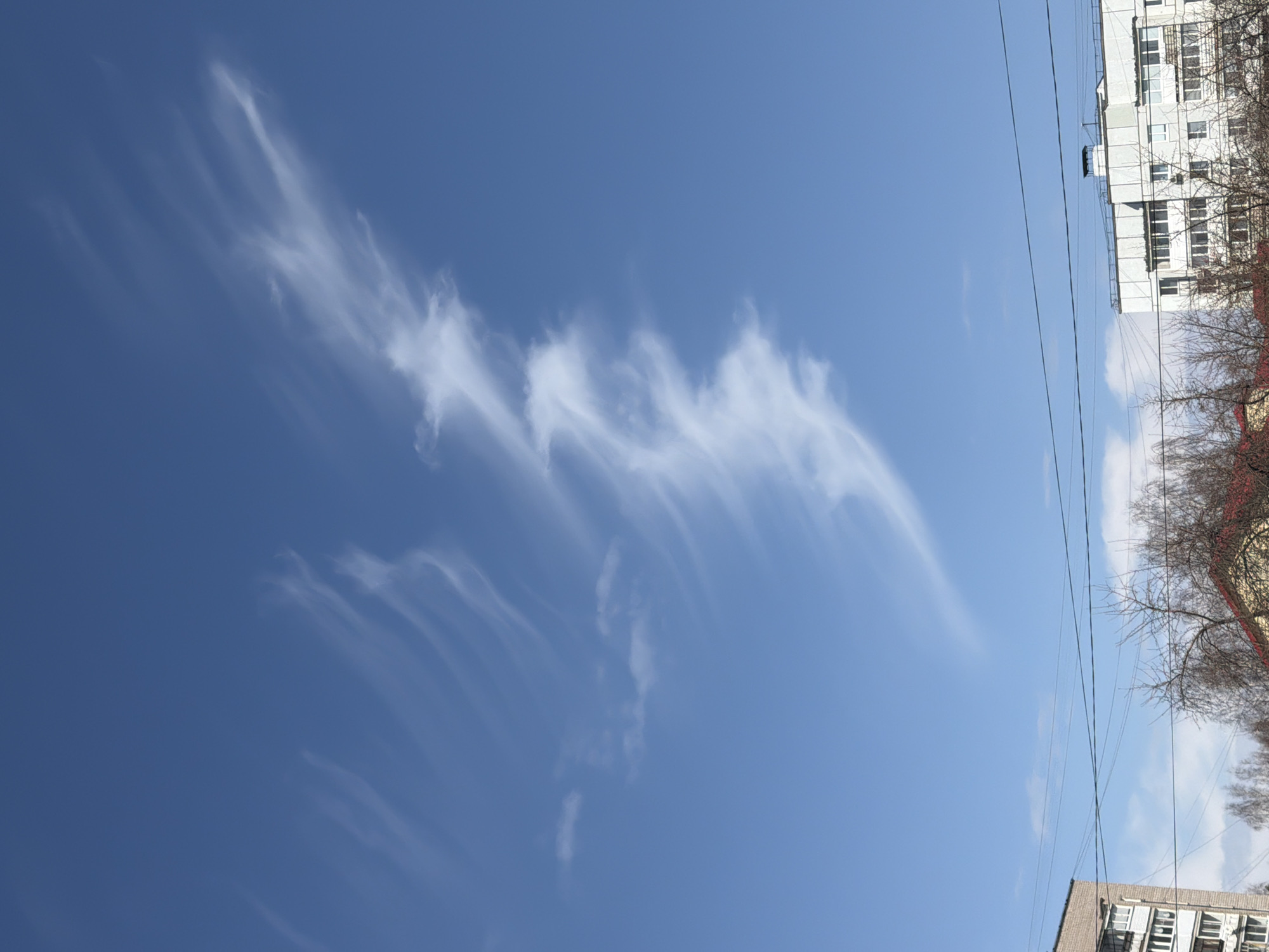 An outdoor wide shot captures a clear, bright blue sky filled with striking, elongated white cirrus clouds, indicative of fair weather. The clouds stretch across the sky in wispy, feathery patterns from the left to the right.
In the lower right corner, a significant portion of a multi-story building with a light facade, possibly white or pale gray, is visible. Numerous windows are arranged on its exterior. Bare deciduous tree branches frame parts of the building and extend along the bottom edge of the frame, suggesting late winter or early spring. In the lower left, another section of a similar building can be seen, partially obscured by the foreground.
Several thin, dark utility lines or power lines traverse the middle and lower sections of the sky, running horizontally across the image. The time of day appears to be daytime, likely mid-morning or early afternoon, given the clear illumination. No people or specific activities are visible. The scene is a tranquil view of an urban or suburban landscape in Chaikovsky, Russia, with the sky as a dominant feature. There is no visible text in the image.
