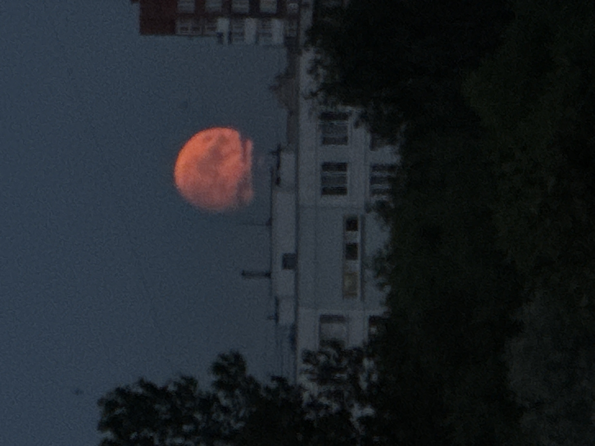 The image depicts a nocturnal cityscape with a large, reddish-orange moon dominating the upper half of the frame. Below the moon, a low-rise, white building with visible windows and a chimney is partially obscured by dark trees in the foreground. To the right of the white building, a taller, brick-colored building with multiple floors and windows is visible. The overall scene is dark, with the moon and some illuminated windows providing the primary light sources against a deep blue sky. The location is identified as Ladozhskoe Ozero, Russia. There are no people or animals visible in the image. The image appears to be a photograph taken at dusk or night.