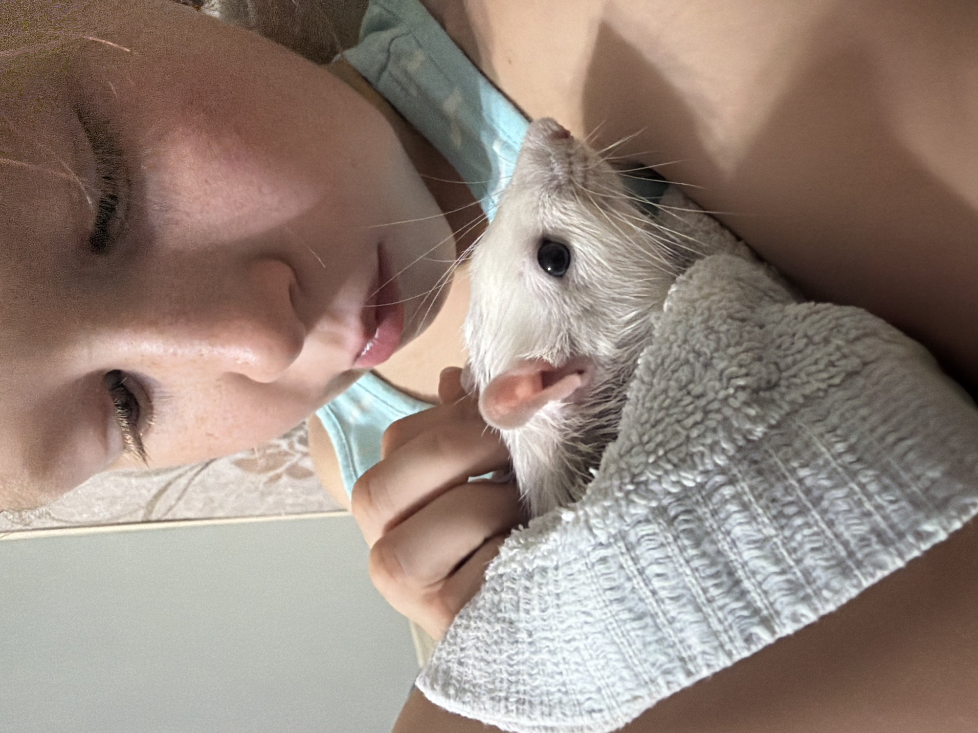A child's face is partially visible, looking down at a white rat held in their hands and a light blue towel. The child has fair skin with freckles and light brown hair. The rat is white with black eyes and pink ears. The towel is light blue and textured. The background shows a wall with a patterned wallpaper and a plain wall. The scene appears to be indoors.