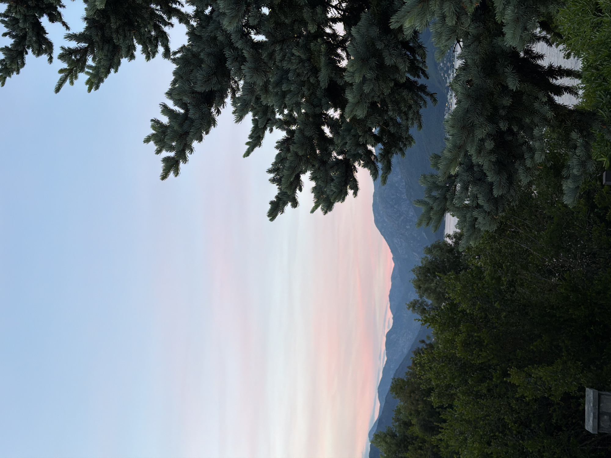 The photograph depicts a view in Gošići, Montenegro. The foreground is framed by conifer tree branches at the top, transitioning into foliage of other trees on the right side of the image. In the center, a mountain range is visible, with a sky displaying a gradient from blue to pink hues. The water can be partially seen, indicating its proximity to the mountain.