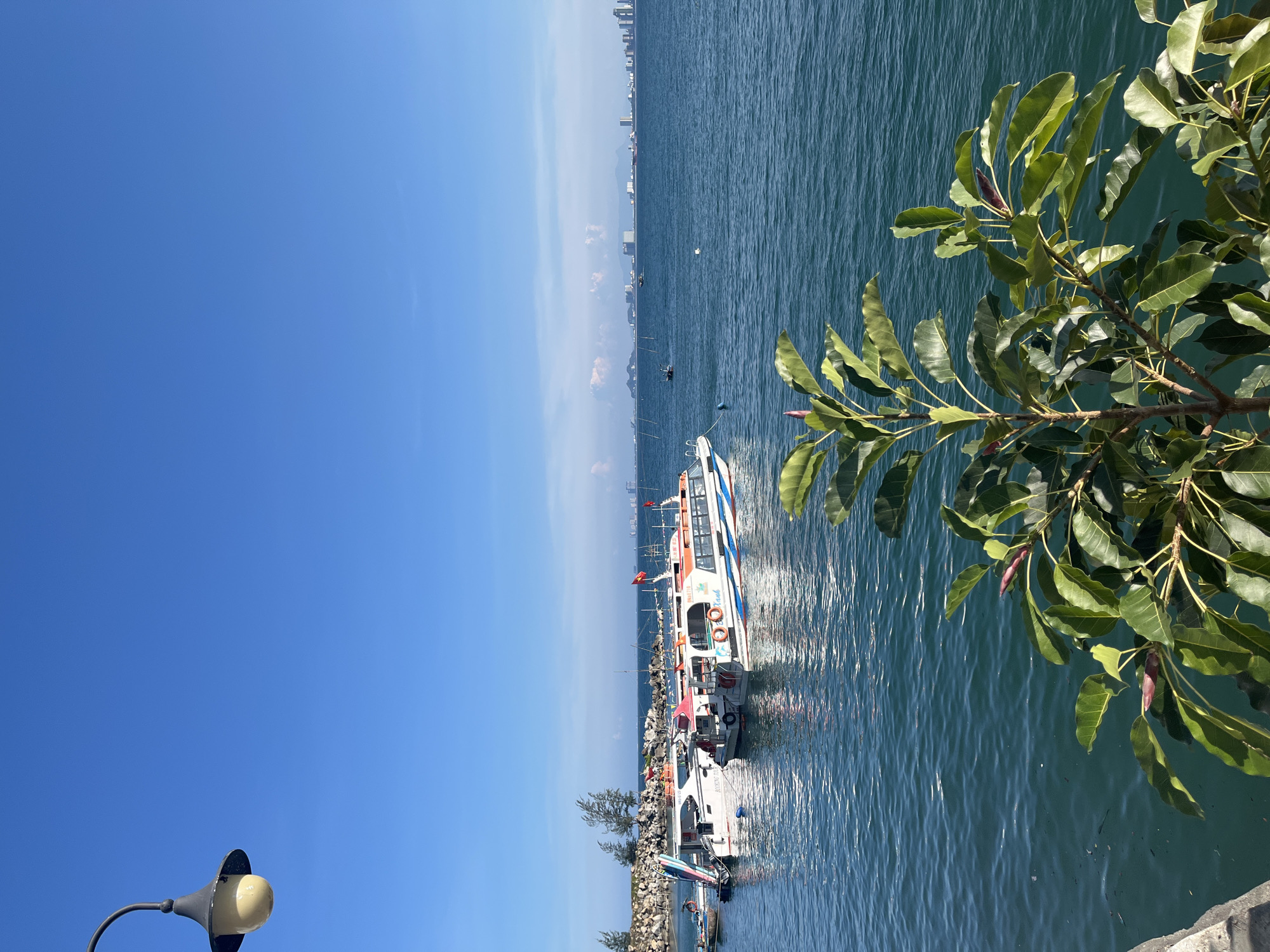 The image captures a coastal scene, likely taken in Đà Nẵng, Vietnam. The view is dominated by the blue ocean stretching to the horizon, where the city skyline is faintly visible. Several boats, including a large passenger boat and smaller vessels, are docked near a rocky embankment. A tree branch with lush green leaves and reddish buds extends into the frame on the right. The sky is a clear, vibrant blue. A street lamp is visible at the bottom left corner.