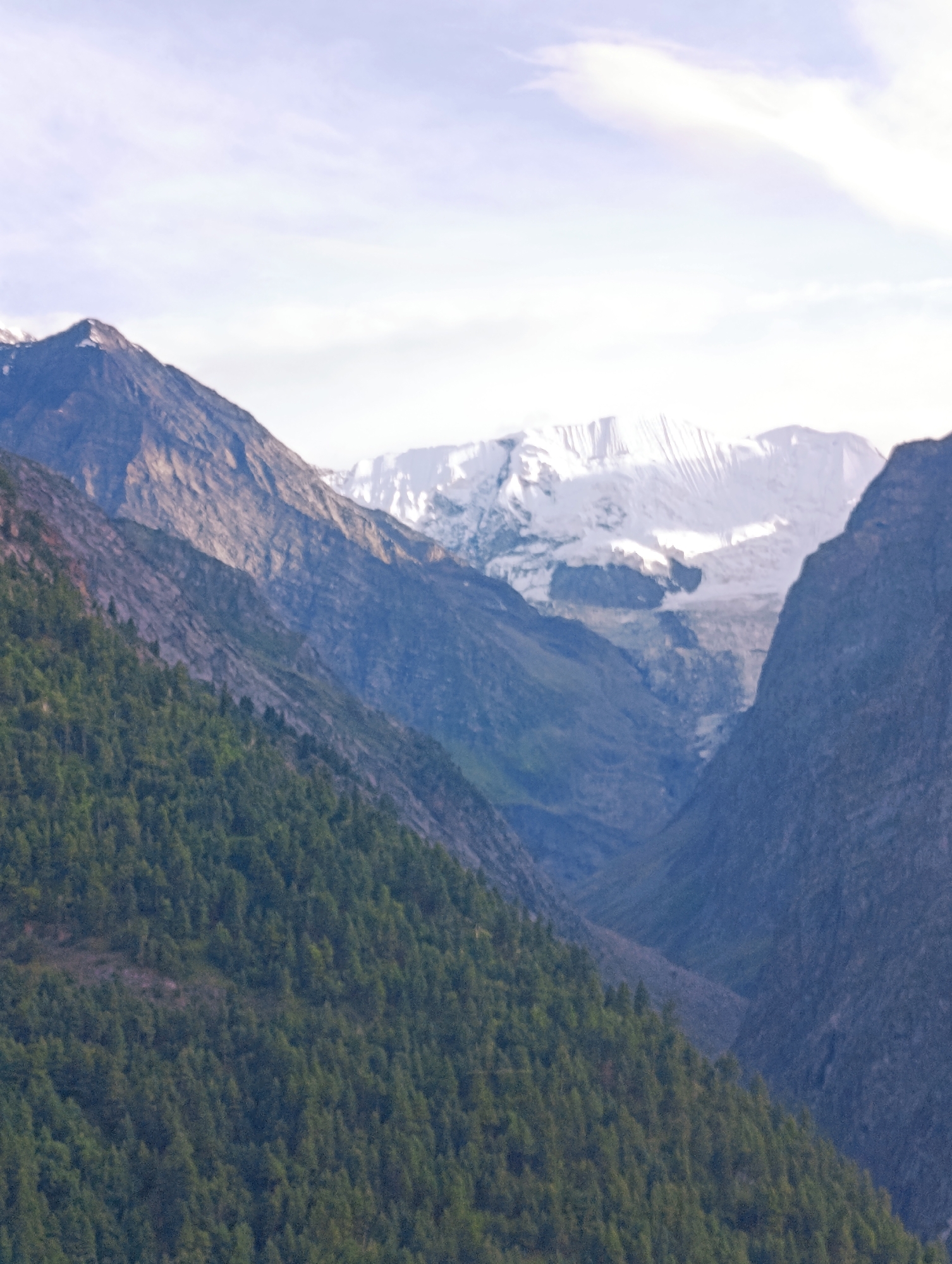 The image depicts a majestic mountain landscape, likely within or near the city of Gondhla, India, given the provided context. The scene is dominated by towering, rugged mountains, with a dramatic gradient of geological formations. The lower slopes are densely covered in a thick, verdant forest of coniferous trees, creating a lush green carpet that ascends the mountainside. Above the treeline, the terrain transitions to barren, rocky inclines, displaying a palette of grays and browns. Further in the distance, the peaks are capped with a pristine layer of snow and ice, gleaming under a soft, possibly overcast sky. The overall impression is one of natural grandeur and the stark beauty of high-altitude environments. There are no people or man-made objects visible in the image, emphasizing the wild and untamed nature of the landscape.