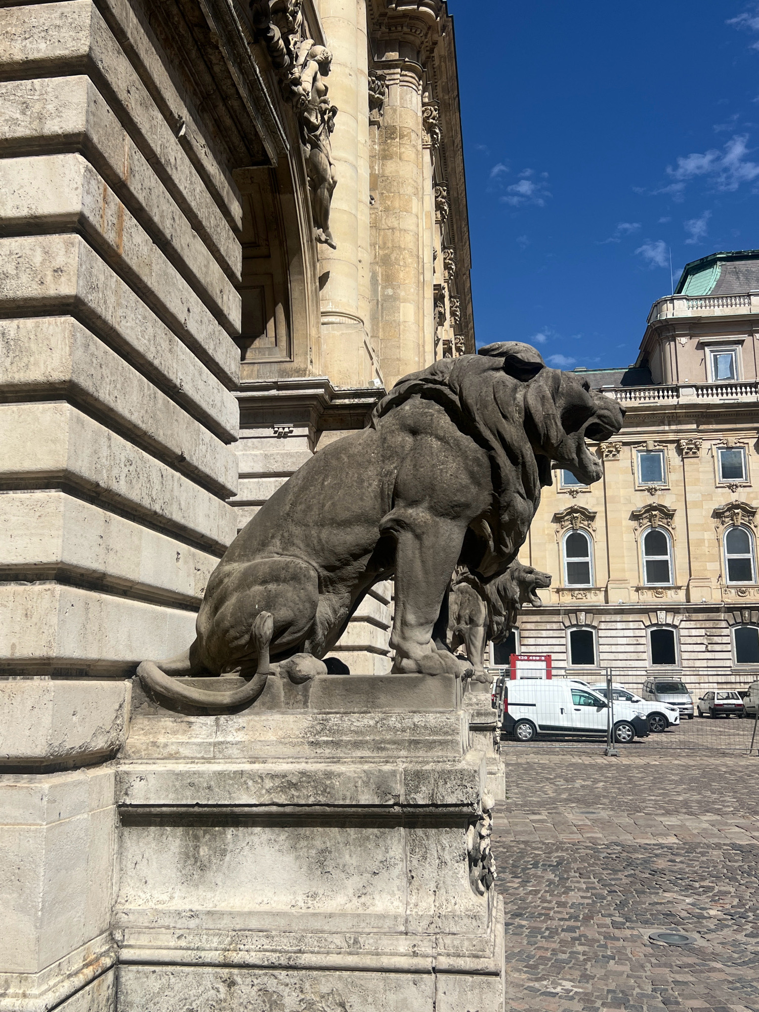 The image shows a stone sculpture of a lion in front of a building with a yellow facade. The lion is in a seated position, with its mouth open, appearing to roar. The building behind the lion has multiple arched windows and is adorned with architectural details. In the background, there are several vehicles parked on a cobblestone street, including a white van, a silver car, and a dark-colored car. The sky is blue with scattered white clouds. This scene is located at the Buda Castle in Budapest, Hungary, specifically in the courtyards of the Royal Palace.