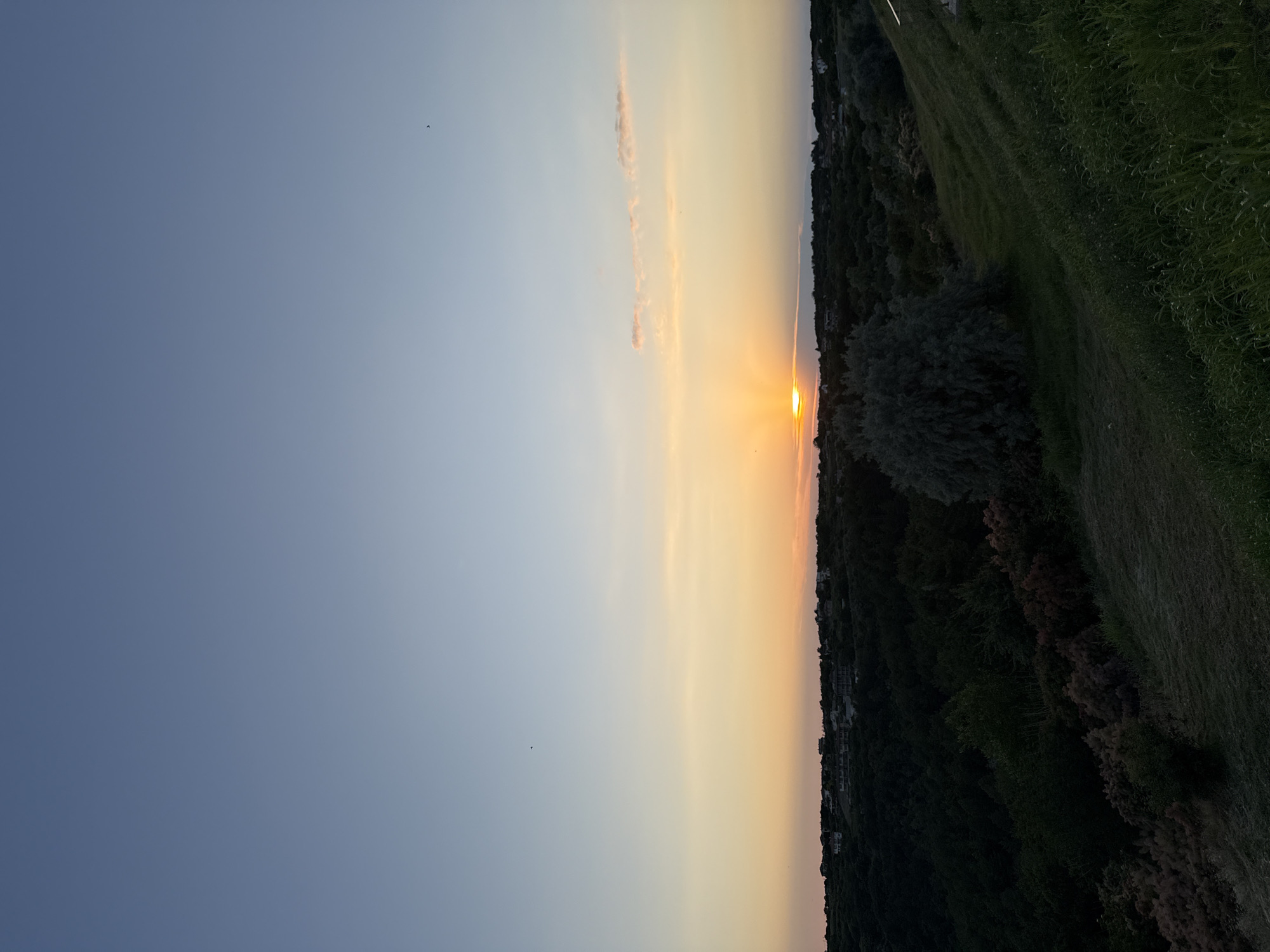 The image captures a sunset over a landscape with a village in the distance. The sky is a gradient of blue and orange, with the sun partially visible near the horizon. Below the sky, a dense forest covers the terrain, with houses dotted among the trees, suggesting a residential area within the village. The foreground features a grassy slope, with various bushes and trees. The overall impression is a peaceful, natural setting with human habitation integrated into the environment. The location is the city of Topola, Bulgaria.