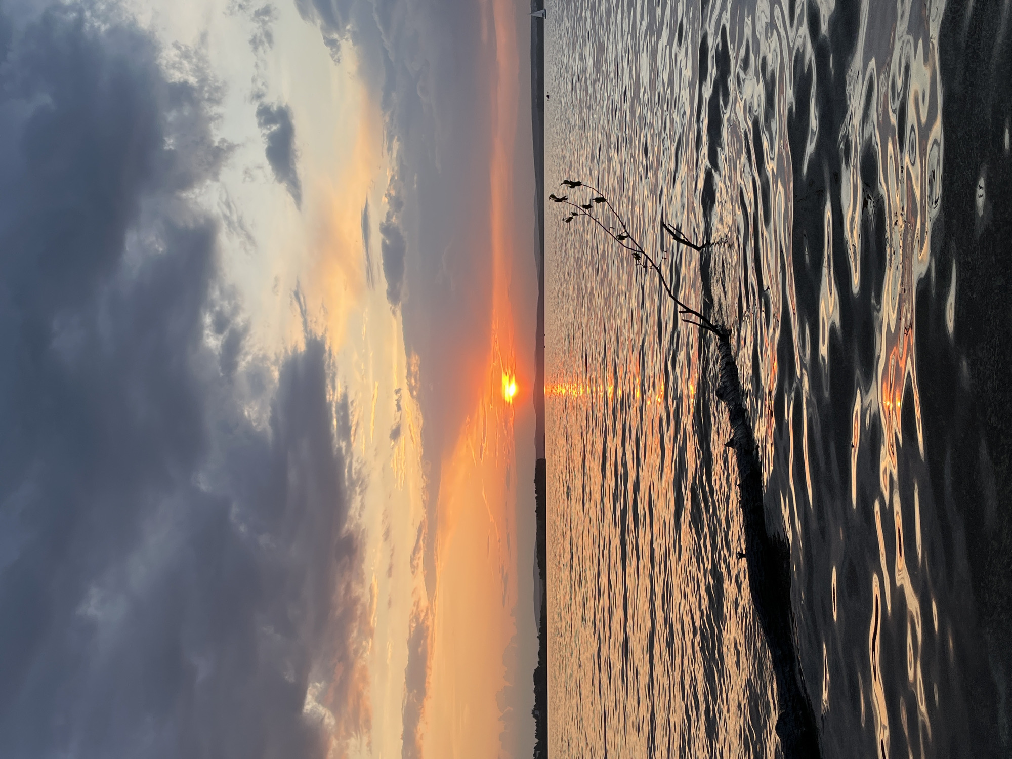 The image depicts a sunset over a body of water. The sun, a bright orange orb, sits on the horizon, casting a reflection across the water's surface. A small twig or branch with leaves extends into the water. The sky is filled with clouds, ranging from light gray to dark gray. The water is rippled, reflecting the colors of the sunset. The location and city of Yekaterinburg, Russia cannot be verified.