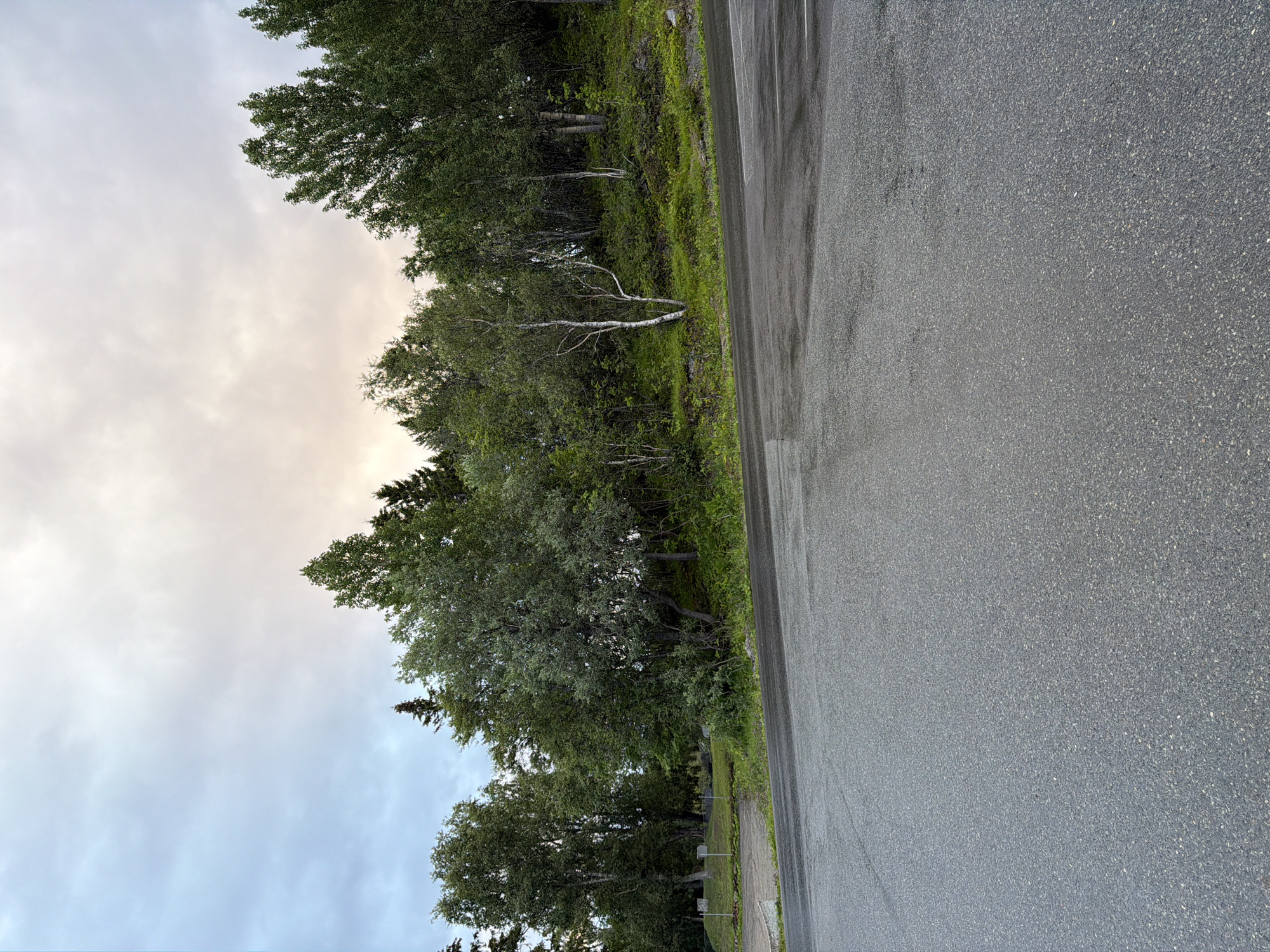 The image depicts an asphalt road in the foreground, with a gentle slope leading up to a grassy embankment on the right. A line of trees, predominantly deciduous with some coniferous interspersed, forms a dense backdrop along the embankment. The sky above is overcast with soft, diffused light. In the mid-ground, to the left, there appears to be a paved area, possibly a parking lot, with some faint markings. Beyond that, a few upright, rectangular objects, potentially bollards or markers, are visible. The overall setting suggests an outdoor location, likely a park or a scenic viewpoint, given the presence of trees and a road. There are no people or animals visible in the frame. The scene is peaceful and natural.