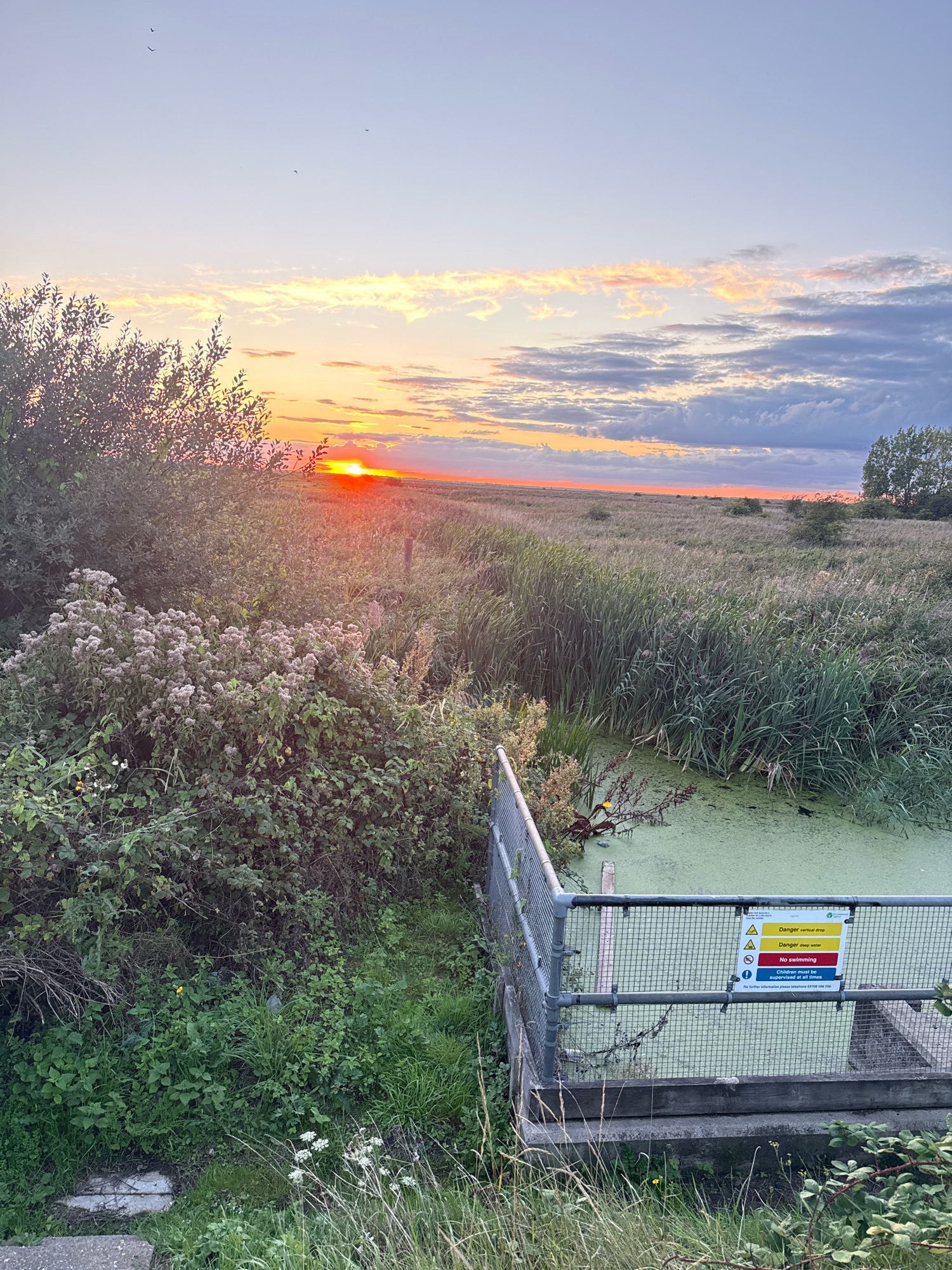 A photograph captures a sunset over a marshy landscape. The sky is painted with hues of orange, pink, and purple, with scattered clouds. The sun, a bright orange orb, is low on the horizon, casting a warm glow across the scene. In the foreground, dense vegetation, including bushes and tall reeds, lines a narrow waterway covered in green algae. A metal fence with a safety warning sign encloses a section of the waterway. The sign displays multiple warnings, including "Danger vertical drop," "Danger deep water," and "No swimming," with an additional note advising that children must be supervised at all times and providing a contact telephone number for further information. The overall environment suggests a natural area, possibly a nature reserve or park, located in Great Yarmouth, United Kingdom, given the context of the request. The scene is serene and natural, with no people or animals clearly visible.