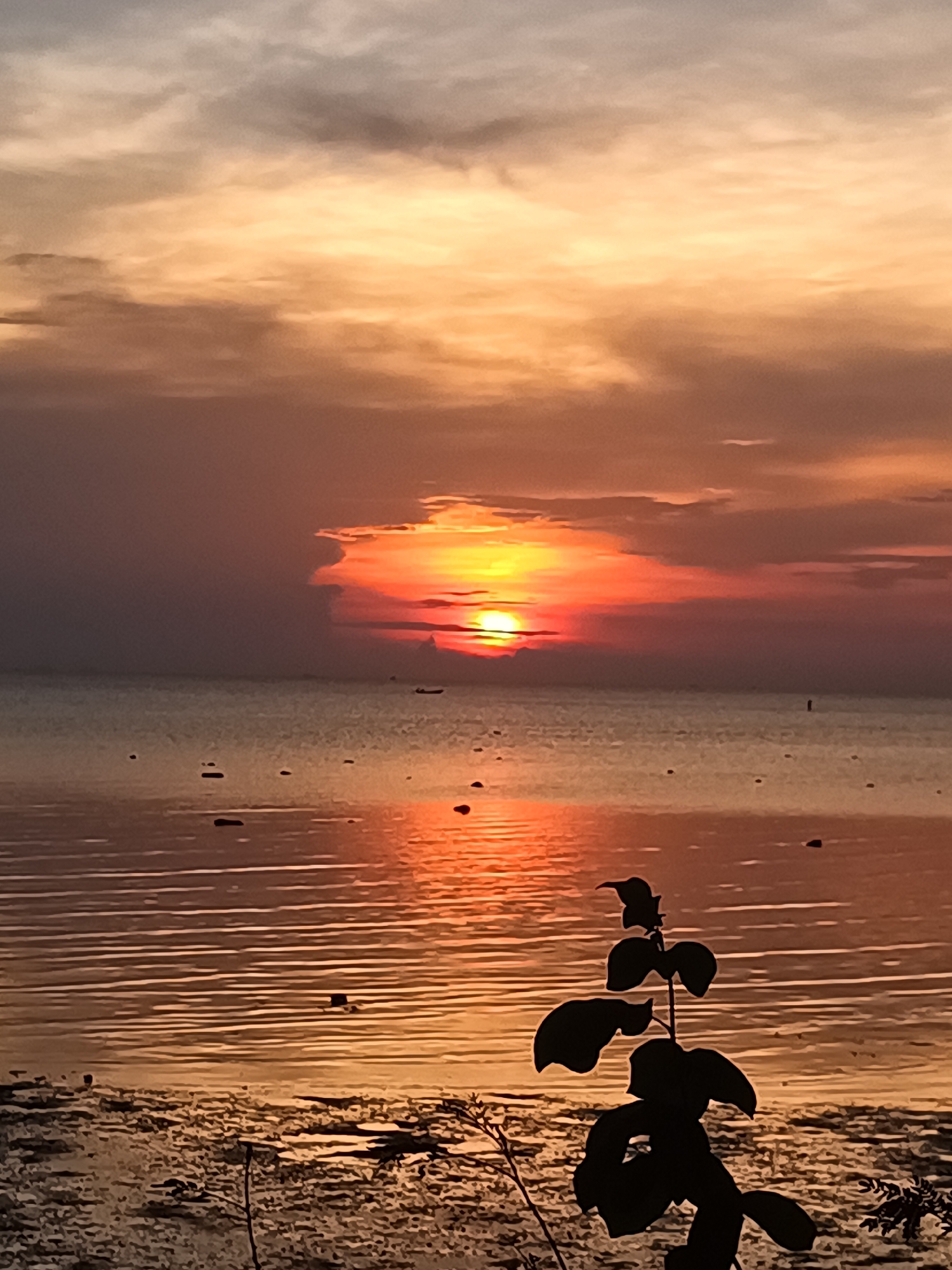 The image shows a sunset over the ocean, likely at Baan Sri Thanu, Thailand. The sun is partially obscured by clouds, creating a red and orange glow in the sky and a reflection on the water. Small dark objects, potentially rocks, are scattered on the shore and in the shallow water. A silhouette of a plant is prominent in the foreground. There is a small boat visible near the horizon. The tide appears to be low, exposing a muddy or sandy area in the foreground.