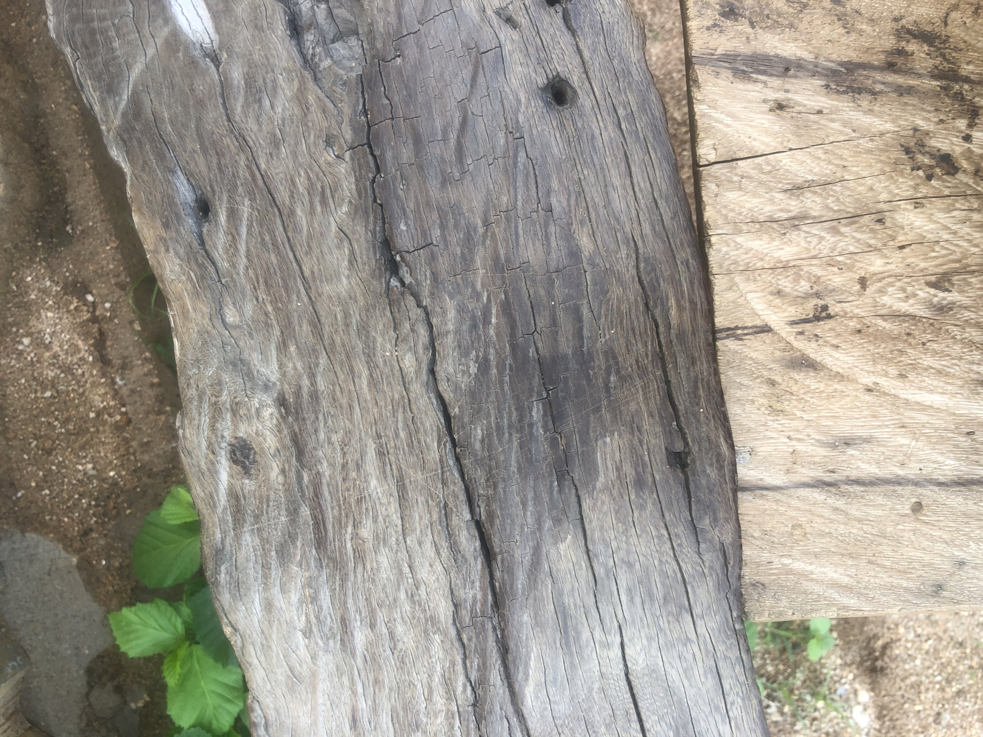 The image shows a close-up view of weathered wood surfaces, likely part of outdoor furniture or a rustic structure. The wood exhibits a rough texture with visible grain, cracks, and some discoloration, suggesting exposure to the elements. In the upper left portion of the image, green leaves of a small plant are visible, bordering the wooden surface and a patch of sandy soil. The lighting appears natural, suggesting an outdoor setting. Without further context, the specific location in Jalingo, Nigeria, cannot be determined from the visual information alone.