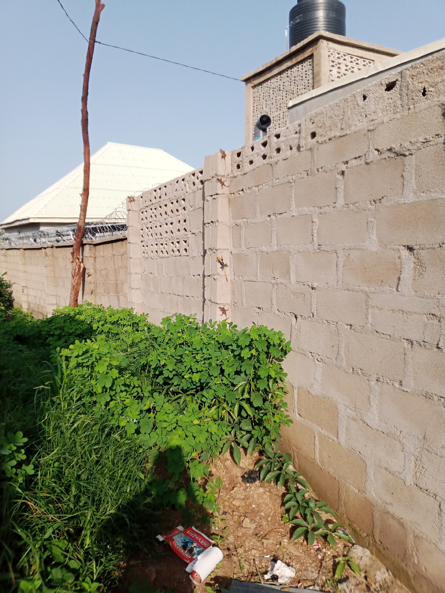In Jauro Yinu, Nigeria, a concrete block wall runs along a dusty area with green vegetation. A tall, dead tree trunk stands to the left of the wall, with a thin wire strung above it. In the background, a white, gabled roof house with barbed wire on top is visible, along with a building with a water tank and decorative concrete blocks. Two lizards, one orange and one brown, are perched on the wall. At the bottom of the image, a discarded plastic bottle cap lies near some grass. The sky is clear and blue.