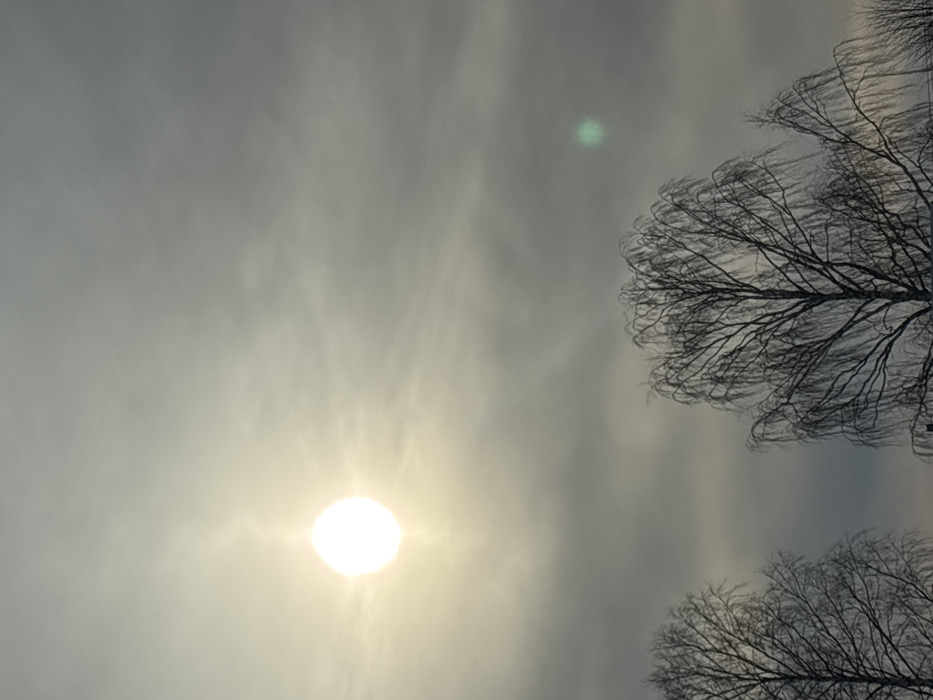 The scene depicts an exterior view in Pavlovsky, Russia, under an overcast sky. A brilliant, overexposed circular sun is positioned in the upper-left quadrant, radiating light through diffuse grey clouds. Below the sun, the upper canopy of two deciduous trees, bare of foliage, is visible. The tree on the right exhibits a full crown of fine, dark, weeping branches, while the tree on the left is partially observed. A green, circular lens flare artifact is present in the upper-right quadrant of the sky. No people or specific man-made objects are identifiable.