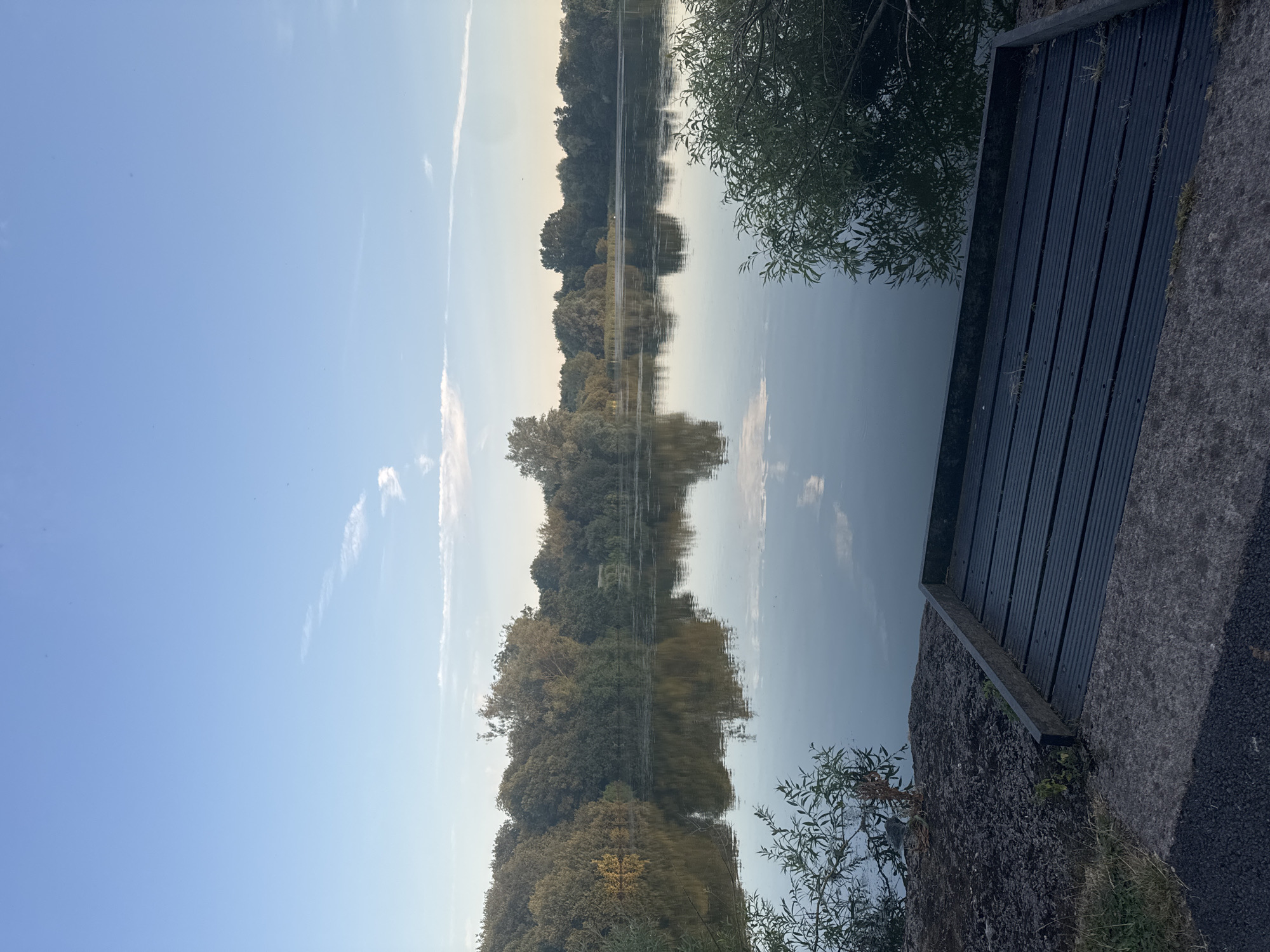 The image shows a tranquil lake scene at the Craigavon Northern Ireland. A wooden platform juts out into the calm water, its dark, slatted surface contrasting with the surrounding rougher ground covered in patchy grass and dark soil. Lush green trees line the far bank of the lake, their dense foliage creating a rich, dark green backdrop. The trees are reflected in the still water, creating a mirror image of the natural landscape. The sky above is a clear, pale blue, with a few wispy white clouds scattered across it. The overall impression is one of peace and natural beauty.