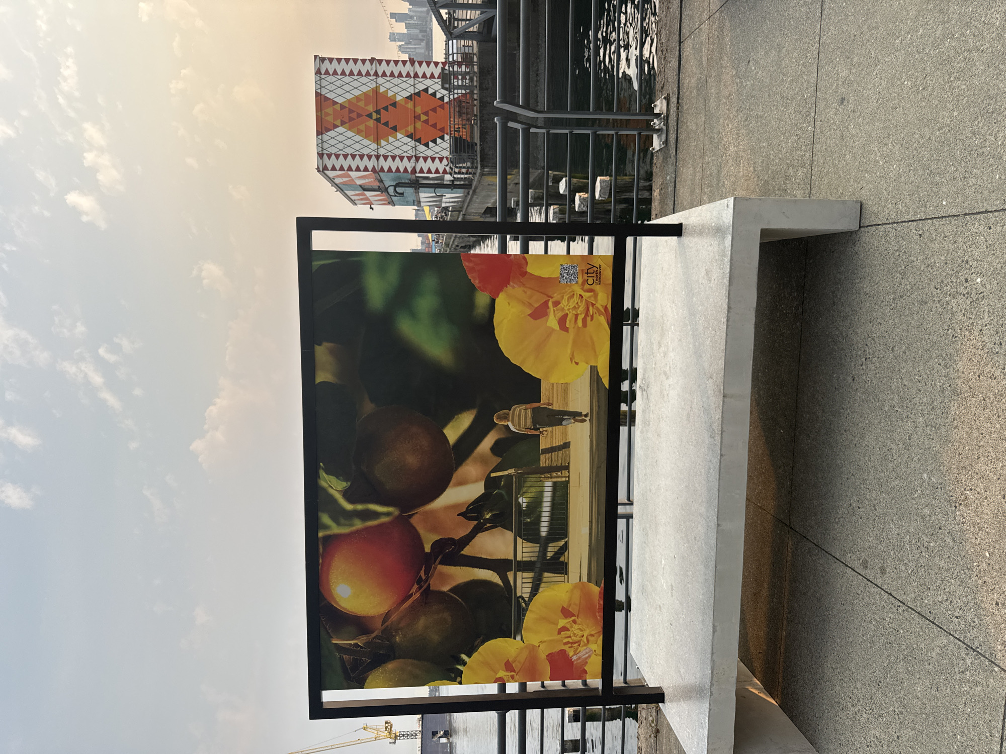 A large outdoor display featuring a photograph of tomatoes and yellow flowers is positioned behind a concrete bench. A person is walking away from the viewer on a walkway depicted in the photograph. In the background, a building with a geometric, multi-colored pattern is visible, along with water and a distant city skyline. The scene appears to be on a pier or waterfront area in North Vancouver, Canada.
