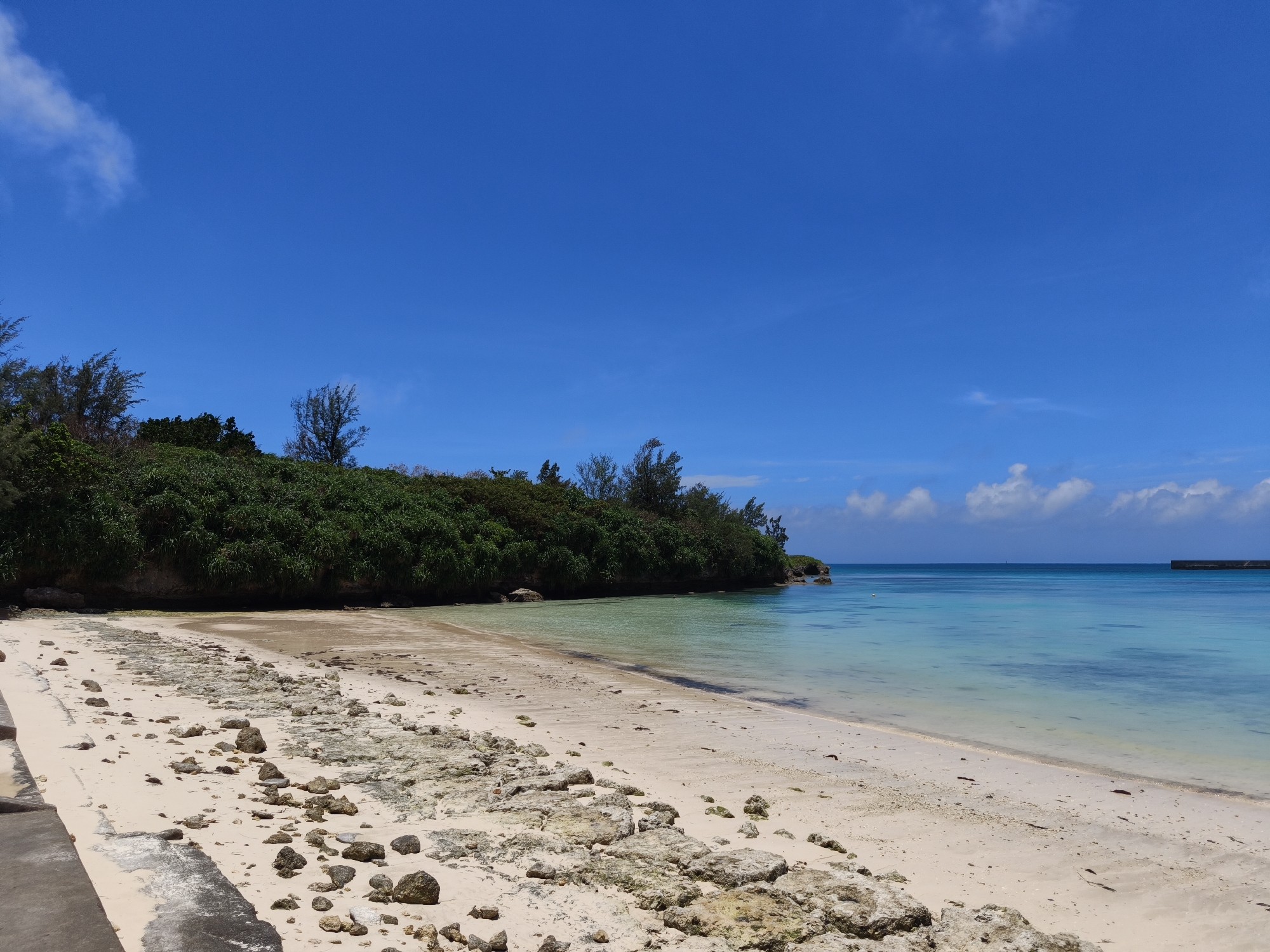 A bright, sunny day is depicted on a tropical beach in Miyakojima, Japan. The scene features a sandy beach littered with rocks and some dry seaweed, leading to calm, crystal-clear turquoise water. The water transitions to a deeper blue in the distance, where a breakwater structure is visible. Lush green vegetation covers a rocky cliff that borders the beach, with scattered trees also present. The sky is a vibrant, cloudless blue with a few wispy white clouds near the horizon. The foreground shows a concrete pathway on the left side of the image. No people are visible in the image.