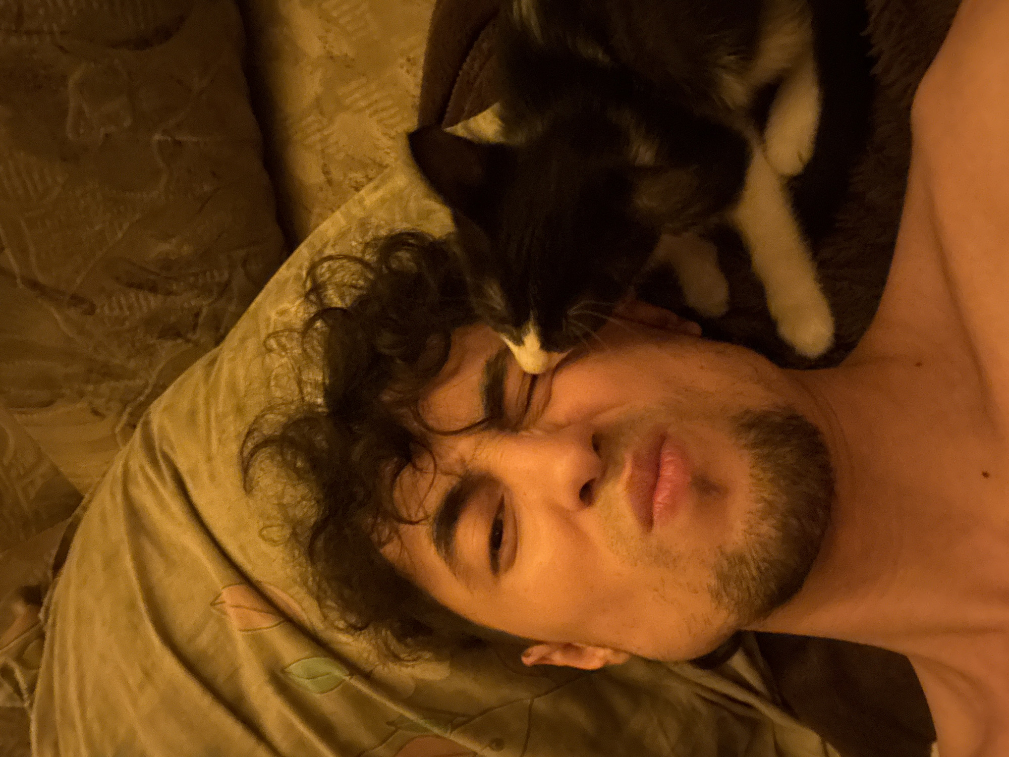 A close-up, overhead shot shows a person lying on a textured, golden-brown surface, possibly a bed or couch. Their face is partially obscured by a black and white cat that is nuzzling the person's cheek and eye area. The person has curly dark hair and is making a pucker-like facial expression. The cat's white paws are visible resting on the person. The background consists of the textured surface, which appears to have a subtle floral or leaf pattern. The lighting is warm and casts a golden hue over the scene.