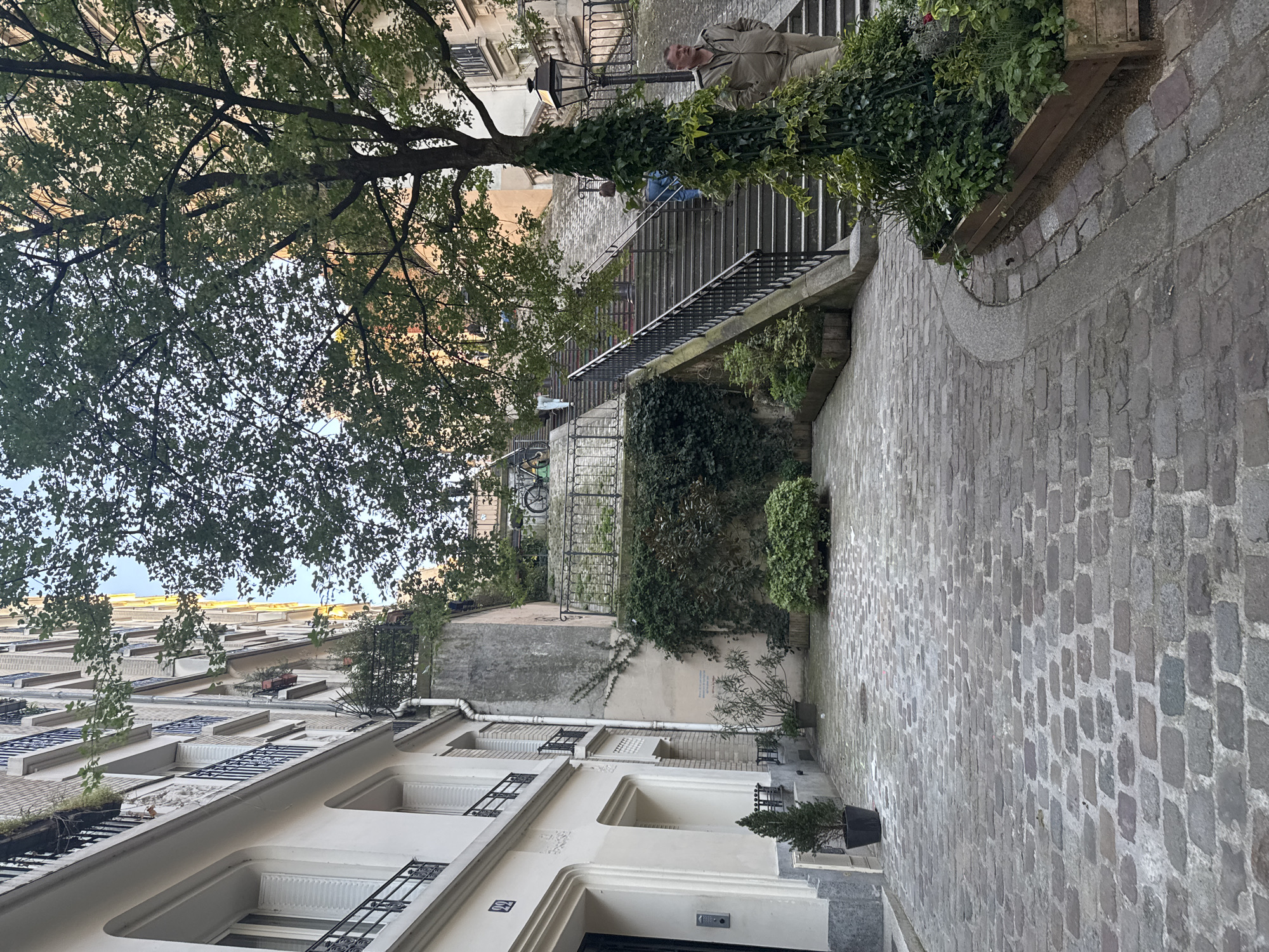The image depicts a narrow cobblestone street in Paris, France. A tree with dense foliage overhangs the street. White buildings with black wrought-iron balconies line the left side of the street. A staircase ascends on the right, with vegetation growing along the side and a man in a light-colored jacket seated at the top. A bicycle is visible parked near the staircase.
