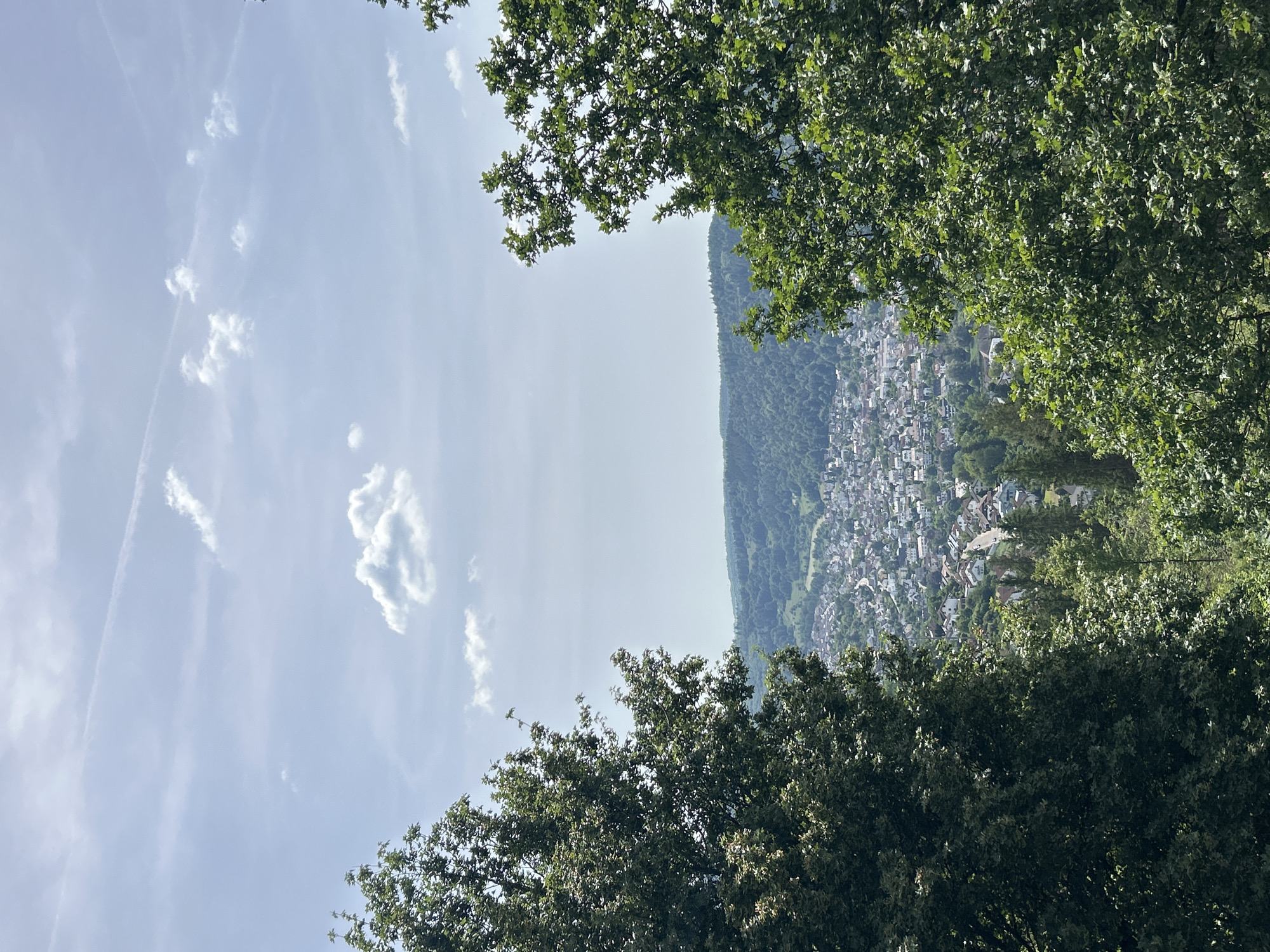 The image shows a cityscape framed by trees in Eberbach, Germany. In the distance, a densely packed area of buildings can be seen at the base of a forested hill. The foreground is dominated by treetops in the top and bottom thirds of the frame. The sky is visible to the left and in the central space between the trees, showing light blue and some wispy clouds. Contrails from aircraft are also visible in the sky. The view suggests a vantage point from an elevated position, possibly a park or another hillside overlooking Eberbach.
