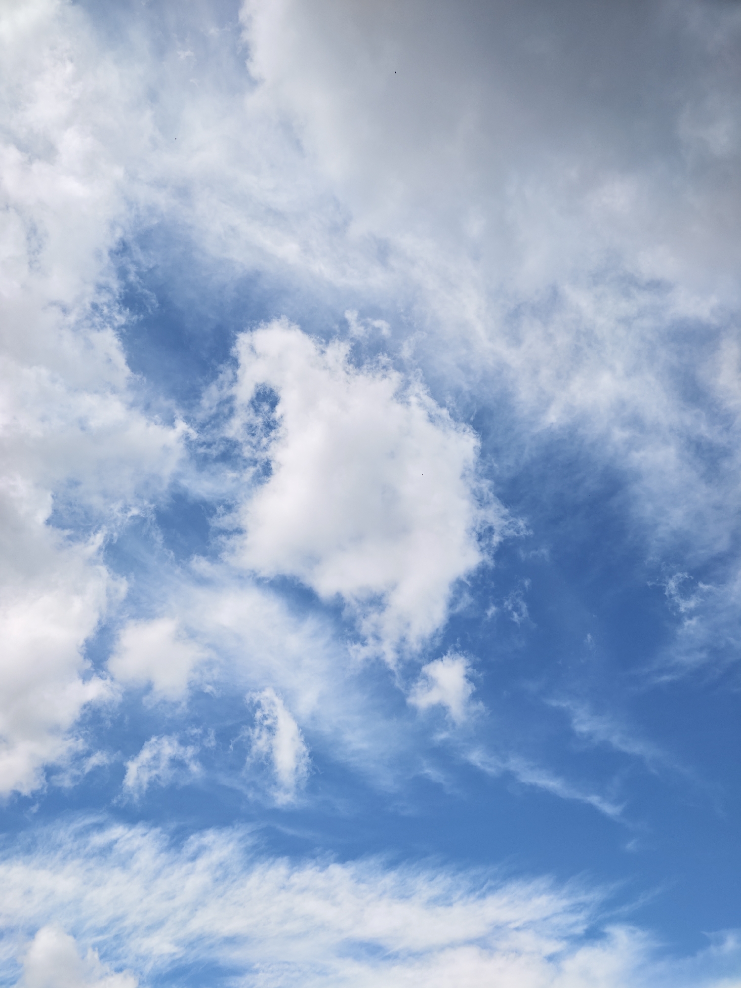 The image depicts a bright blue sky filled with a variety of clouds. Large, fluffy white cumulus clouds are scattered throughout the frame, particularly in the upper and middle sections. Wispy cirrus clouds stretch across the sky, creating a textured effect. The overall lighting suggests a daytime scene, possibly with some sunlight filtering through the clouds. There are no visible buildings, landmarks, or individuals, making it impossible to determine the specific location within Chaikovsky, Russia, or any actions taking place. The image focuses solely on the atmospheric conditions.