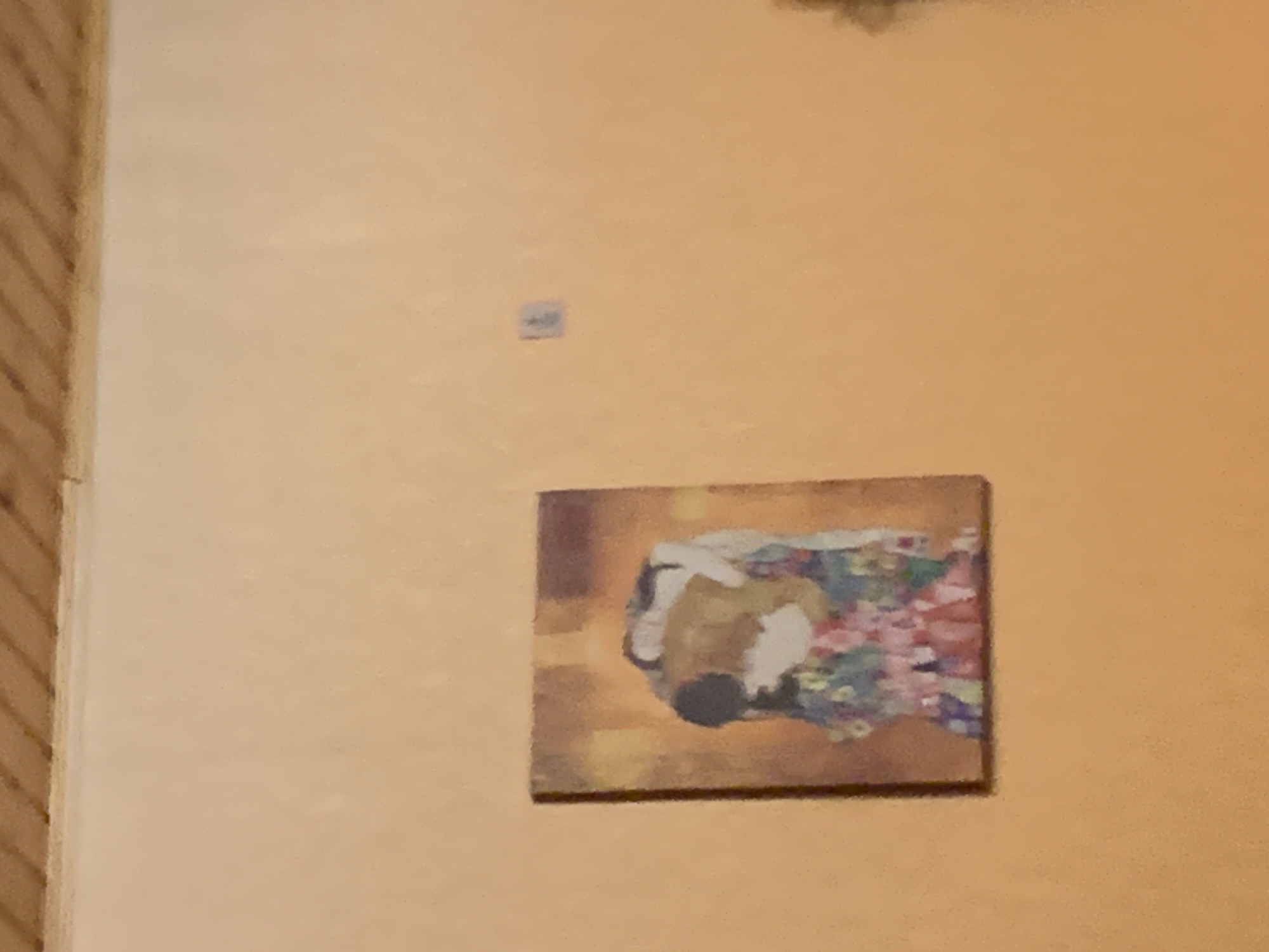 A rectangular painting, likely a print of Gustav Klimt's "The Kiss," hangs on an orange wall. The painting depicts two figures embracing, adorned in colorful, patterned robes against a golden background. The painting is positioned on the lower left portion of the wall. A small, square light switch or outlet cover is visible on the wall to the right of the painting. The ceiling, made of wooden planks, is visible at the top of the image. The scene is indoors, likely in a home.
