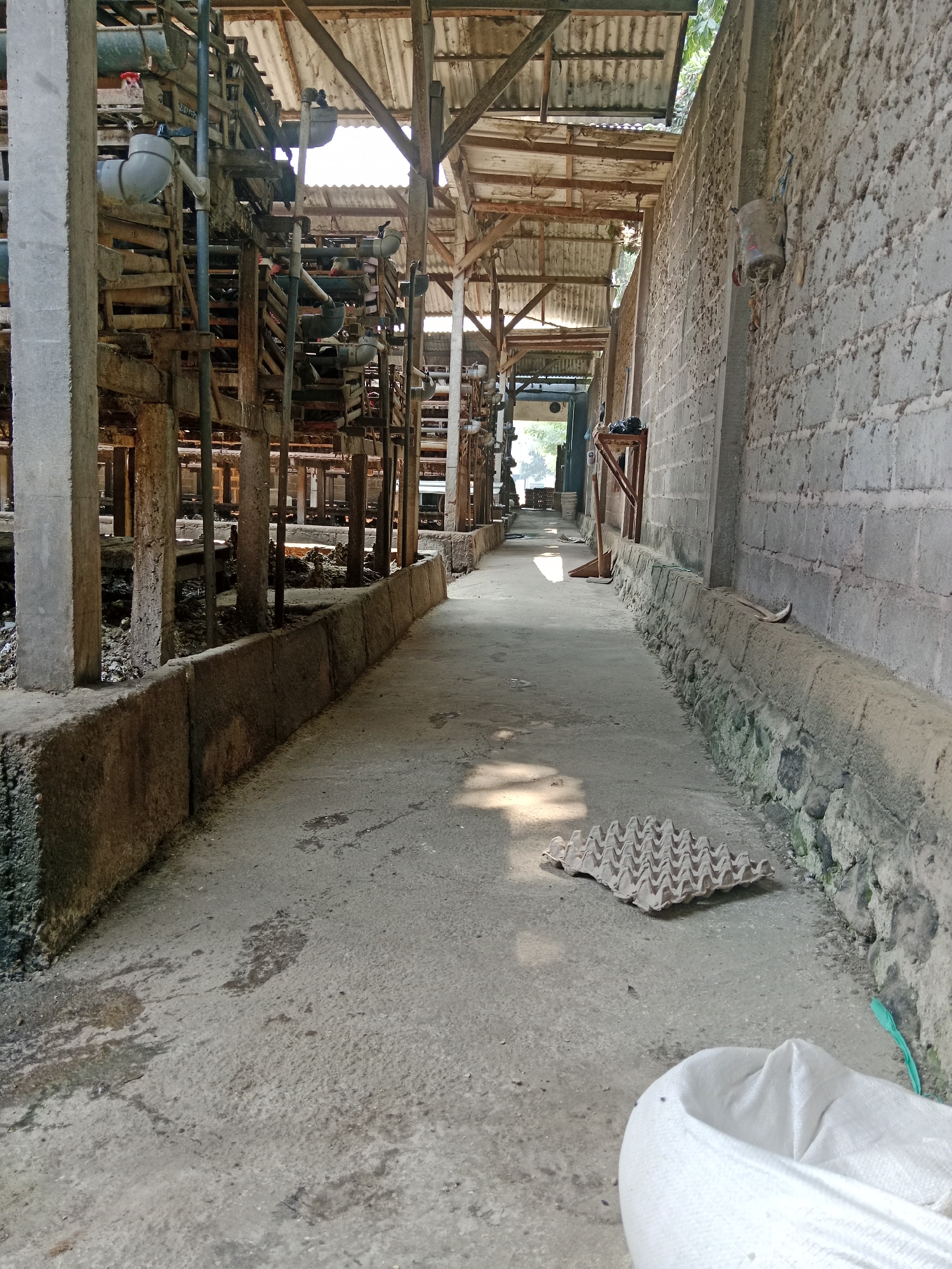 The image depicts a narrow, sun-dappled walkway alongside a building constructed of gray cinder blocks. To the left, a structure with wooden supports and metal pipes is visible, suggesting an industrial or agricultural setting. In the foreground, a white sack rests on the concrete ground, and an empty egg carton lies nearby. The overall scene suggests a utilitarian area within Ringinrejo, Indonesia, possibly a processing facility or farm.