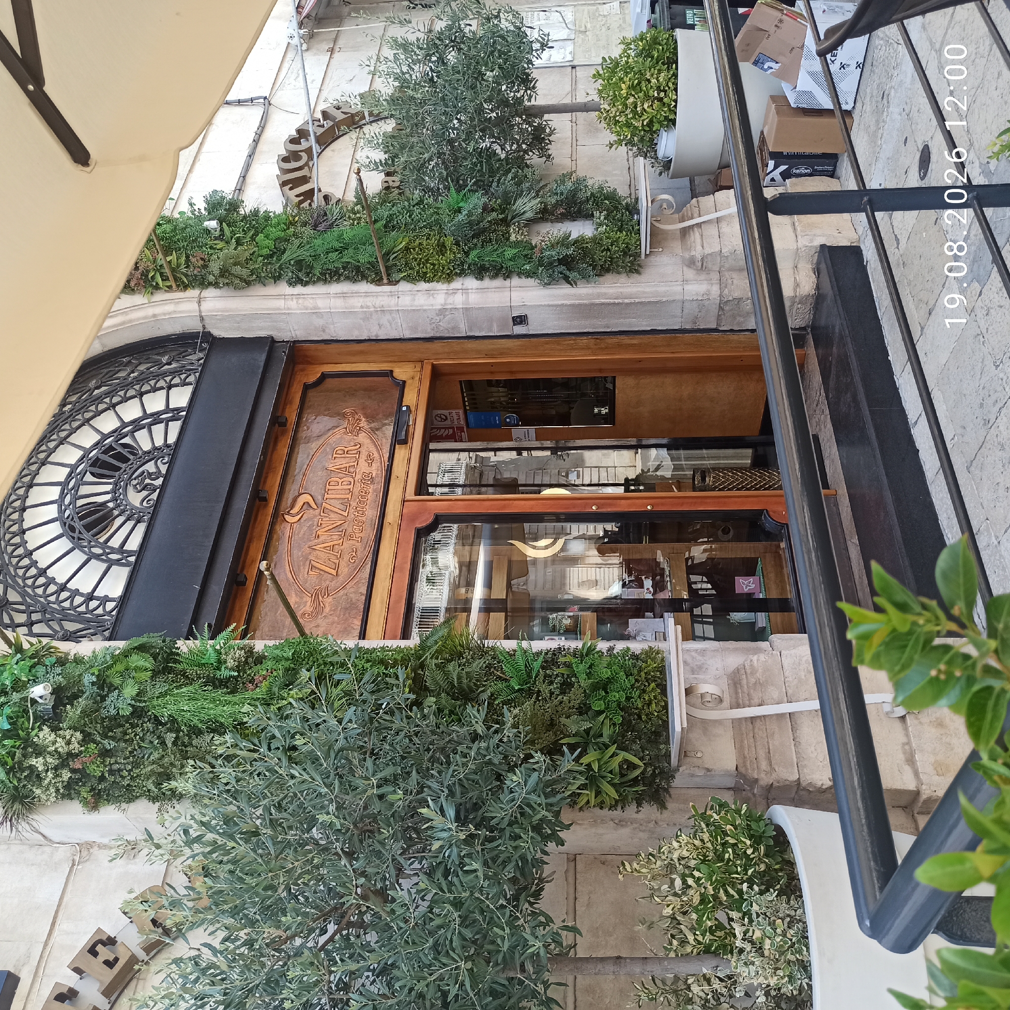 The image shows the exterior of a business named "ZANZIBAR Pasticceria" located in Ruvo di Puglia, Italy. The entrance is made of wood with glass doors. Above the entrance is a decorative metal arch. The facade is decorated with vertical gardens and potted plants, including an olive tree. In the foreground, there is a black metal railing and some green foliage. Cardboard boxes are stacked on the right side of the entrance. A timestamp "19.08.2026 12:00" is visible in the bottom right corner. No people are visible in the image.