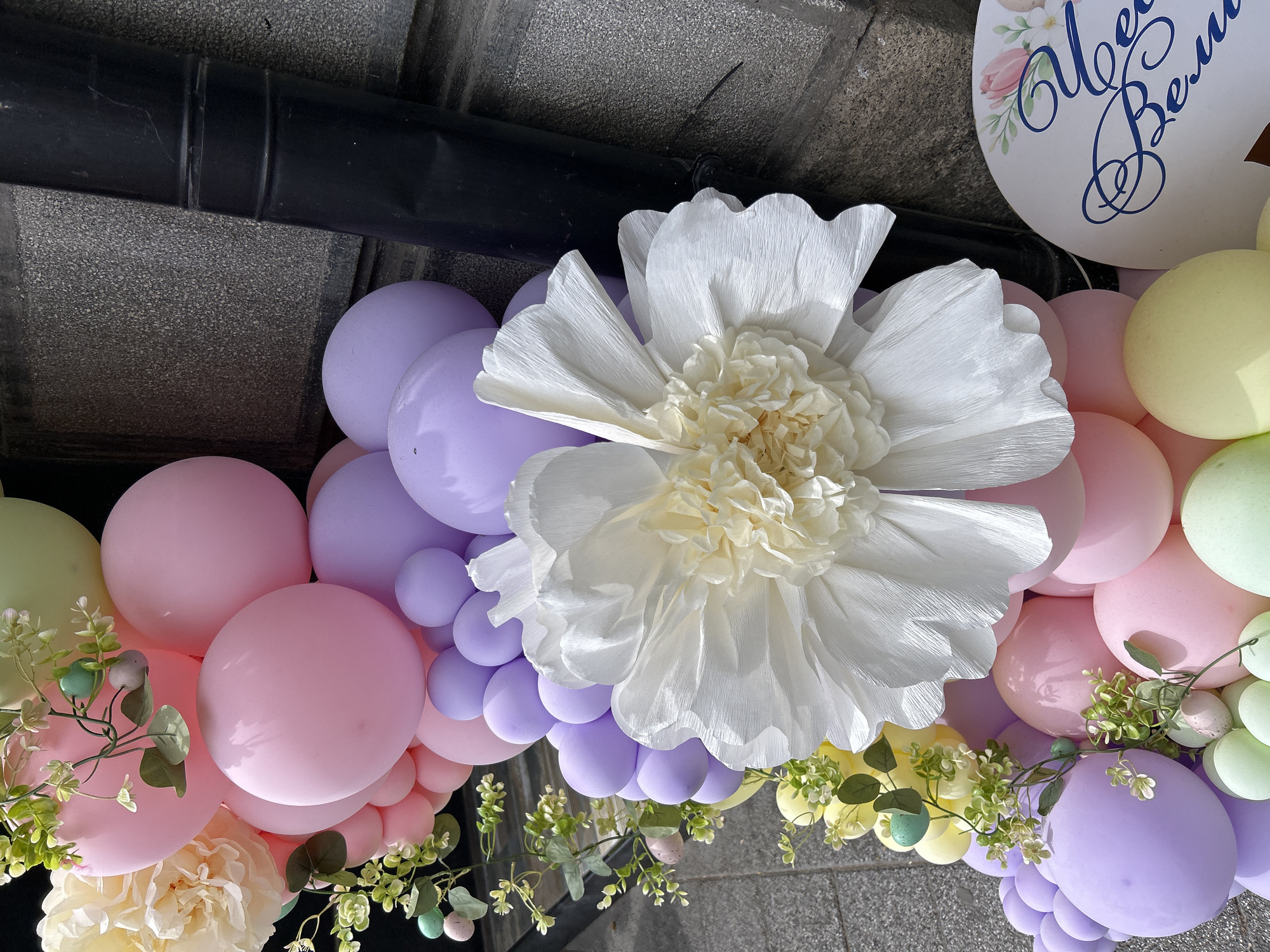 The image depicts a festive balloon arch decorated with a large white paper flower and foliage with small decorative eggs. The balloons are primarily pastel shades of pink, lavender, and pale yellow-green. The location appears to be outdoors, near a building with a gray, textured wall and dark, possibly metallic, pipes running along the top edge of the frame. Given that the prompt mentions Plovdiv, Bulgaria, the scene is presumed to be there, though no specific landmarks are visible. There are no people in the image. The focal points are the balloons and the paper flower, indicating a celebratory event.