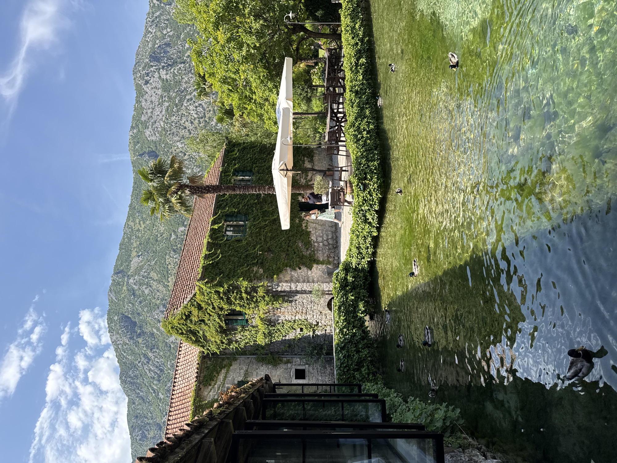 The image depicts an outdoor dining area adjacent to a body of water, situated in Morinj, Montenegro. In the foreground, a clear, green body of water is populated by several ducks swimming. The water surface exhibits ripples and reflections of the surrounding environment.
To the left, a stone building with a tiled roof is partially visible. One section of this building features large, open windows with dark frames, offering a glimpse into an interior space. The exterior walls of the building are partially covered in lush green ivy.
Further to the right, a larger stone building, also with a tiled roof and ivy-covered walls, stands prominently. In front of this building, an outdoor seating area is arranged under a large white umbrella. Several wooden tables and chairs are set up, suggesting a restaurant or cafe. Two individuals, a man and a woman, are walking in the vicinity of this seating area. A palm tree stands near the building.
Behind the buildings and trees, a large, green, mountainous landscape dominates the background, with a clear blue sky above, dotted with white clouds. The overall scene conveys a serene, natural setting with elements of a cultivated outdoor space.