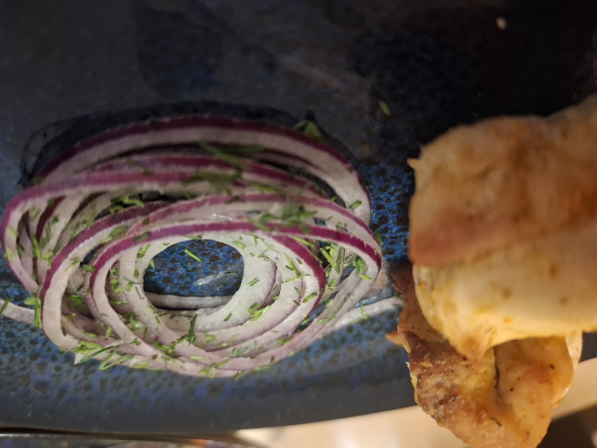 A close-up, high-angle shot captures a meticulously arranged food dish on a dark, speckled ceramic plate, likely served in Chaikovsky, Russia. The primary subject is a decorative arrangement of thinly sliced red onion rings, forming a spiral pattern on the left side of the plate. These translucent rings, with their distinct purple edges, are generously sprinkled with finely chopped green herbs, possibly dill or parsley, adding a fresh, vibrant accent.
On the right side of the frame, partially visible and slightly out of focus, is a piece of cooked meat, appearing golden-brown and possibly seasoned. Its texture suggests it has been grilled or roasted, and its shape hints at a skewer or kebab, perhaps chicken or pork. The plate itself is a deep blue-black, featuring a textured, speckled glaze that creates visual interest. The overall impression is that of a thoughtfully prepared meal. The lighting suggests an indoor setting, possibly under artificial light. There is no discernible text, human presence, or specific time of day indicated within the image.