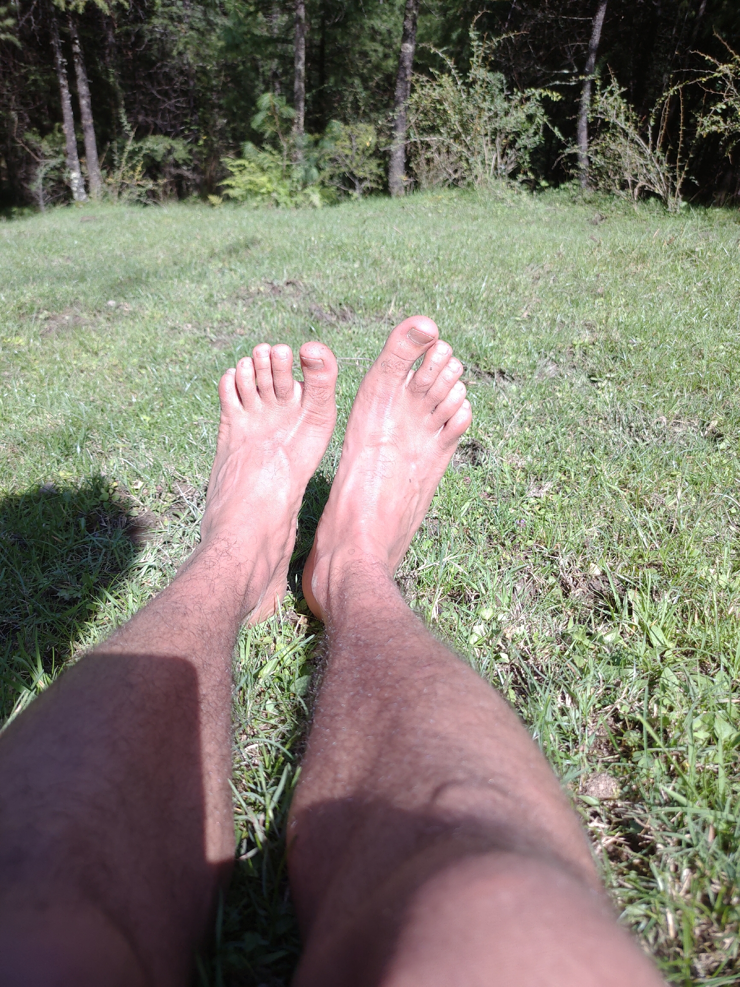 A low-angle, POV shot shows a person's bare legs and feet resting on a patch of sunlit grass. The background features a dense forest with tall trees and undergrowth. The person's skin is tanned, and the grass appears to be natural and slightly dry. The scene conveys a sense of relaxation and connection with nature, possibly in an outdoor recreational area or a secluded spot within the city.