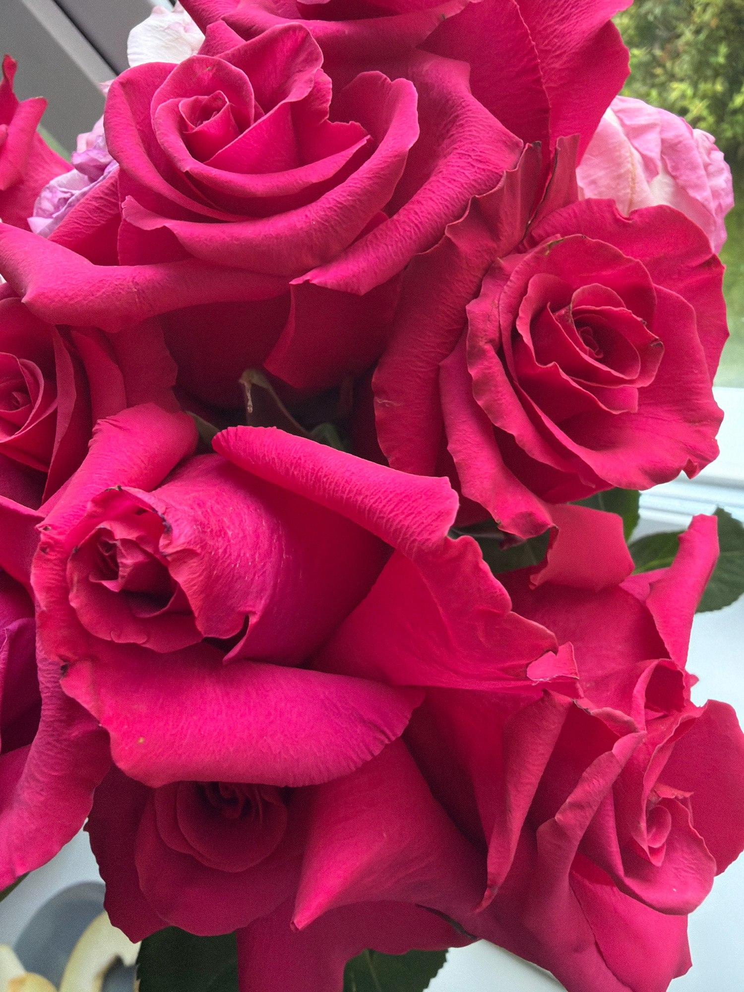 A close-up, overhead shot captures a bouquet of vibrant pink roses. The petals are richly textured, with visible veins and delicate creases. Some of the roses are fully bloomed, revealing their intricate spiral centers, while others are partially unfurled. A few lighter pink and white rose petals are interspersed among the dominant pink blooms. The background is softly blurred, with hints of green foliage and a white or light-colored surface, possibly a windowsill. The lighting suggests an indoor setting, possibly a home or a flower shop. There is no indication of specific location within Бабініцкі сельскі Савет, Belarus, as the image is a still life of flowers.