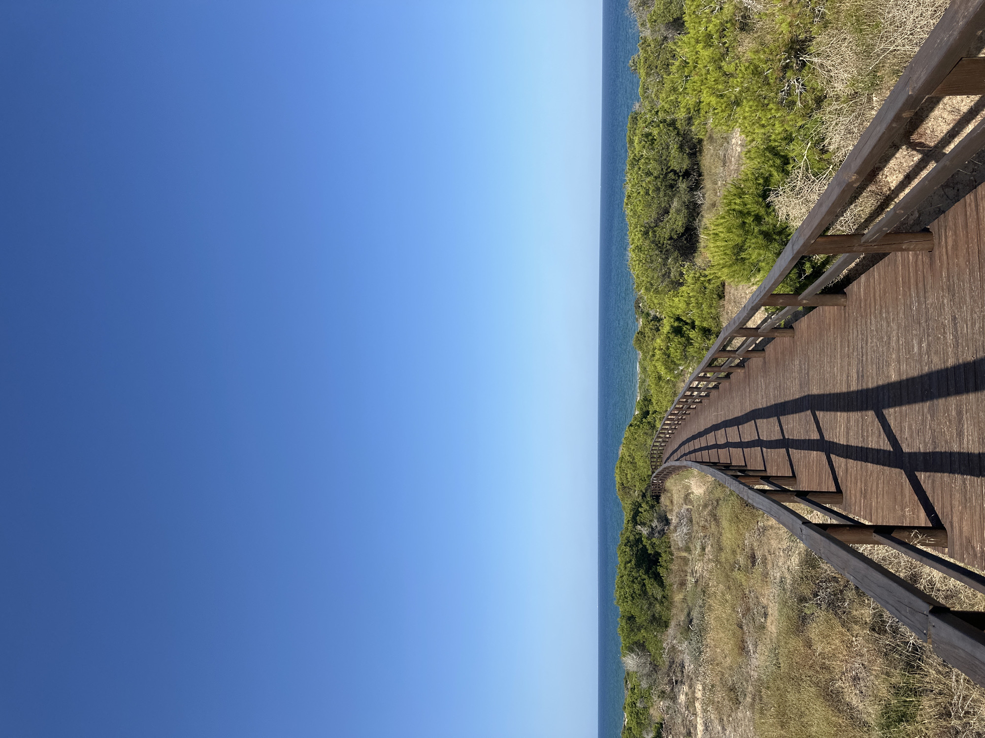 A wooden boardwalk curves through dry, sandy vegetation towards the sea under a clear blue sky in Guardamar del Segura, Spain. The boardwalk, constructed of dark wood planks, has railings on both sides and casts long shadows onto its surface. To the left and right of the boardwalk, the landscape is characterized by sparse, dry grasses and low-lying green bushes, with denser green trees further in the distance. The horizon is dominated by the vast expanse of the sea, a deep blue that meets the sky. The overall scene depicts a coastal natural setting, likely a protected area or a path leading to a beach. There are no people visible in the image.