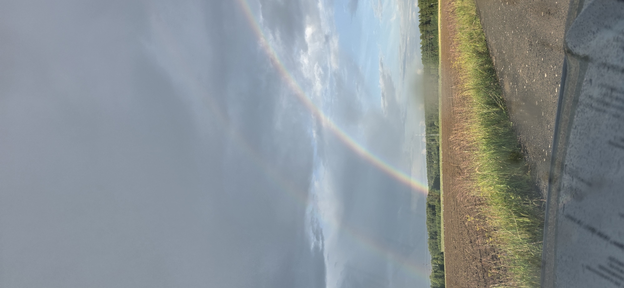 The image depicts a rural landscape in Asakovo, Russia, featuring a double rainbow arching across a cloudy sky. The foreground shows a dirt road and a field of brown earth with green grass along its edge. In the middle ground, a line of trees forms a dark border separating the field from the sky, with some power lines visible. The sky is filled with dramatic grey clouds, with lighter patches suggesting the sun's presence. The double rainbow is prominent, with its colors faintly visible against the overcast sky, suggesting it appeared after or during a rain shower. There are no people or animals visible in the scene. The overall impression is one of a natural phenomenon occurring in a quiet, undeveloped setting.