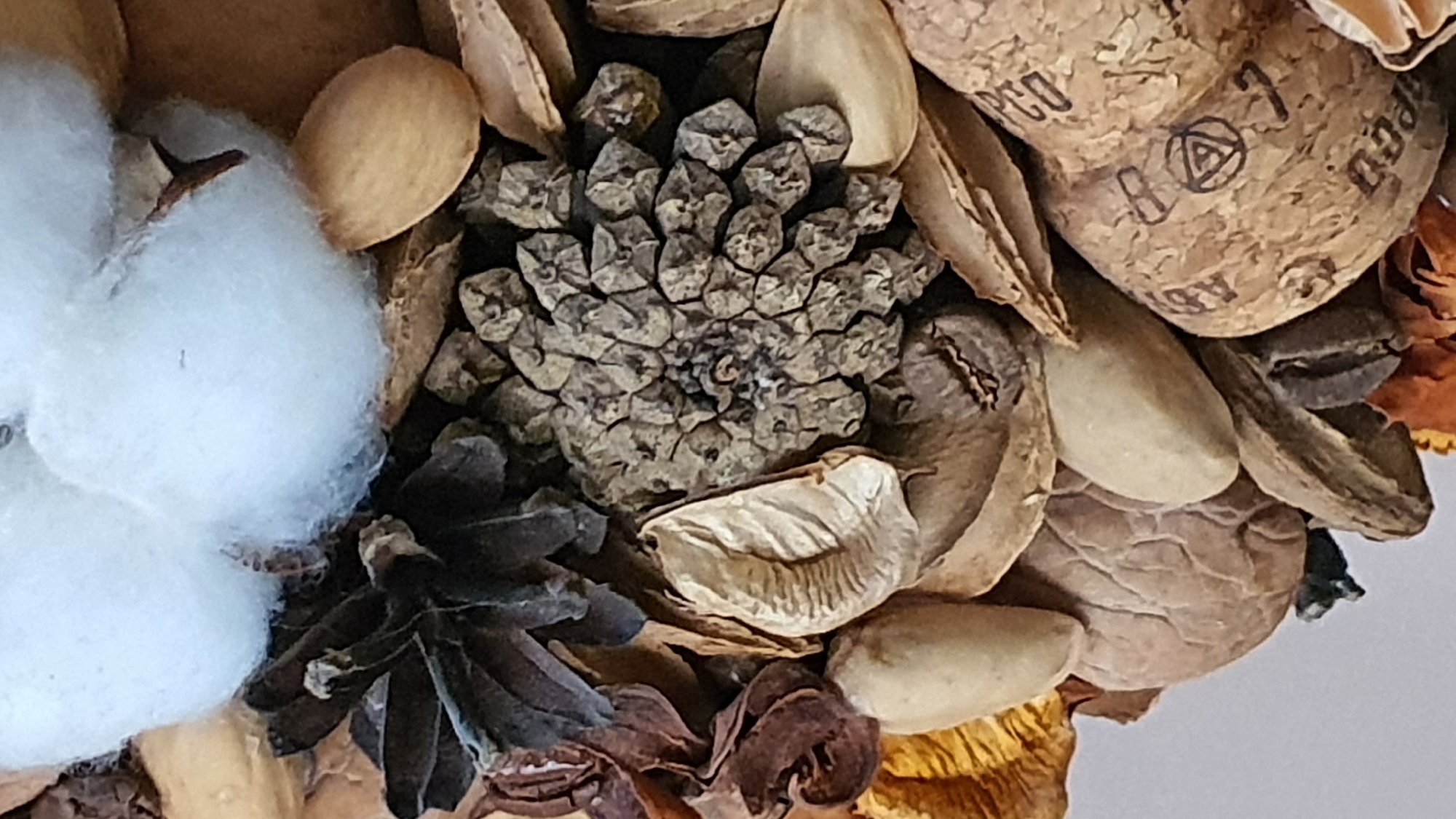 This is a close-up, top-down, still photograph of dried potpourri, featuring a pinecone, cotton, nuts, and other dried botanical elements. The composition is dense and textured, with a variety of earthy tones and intricate natural patterns. The pinecone is prominently displayed in the center, its scales arranged in a spiraling pattern. A fluffy white piece of cotton sits above and to the left of the pinecone. Various nuts, some appearing to be almonds or similar, are scattered throughout the image, along with dried leaves and seed pods. The background is a continuation of these dried natural materials, with a light-colored surface visible at the very bottom edge of the frame. The image does not depict any identifiable location within Krasnoyarsk, Russia, nor does it contain any people, actions, or interactions. It is a purely still life arrangement of natural objects.