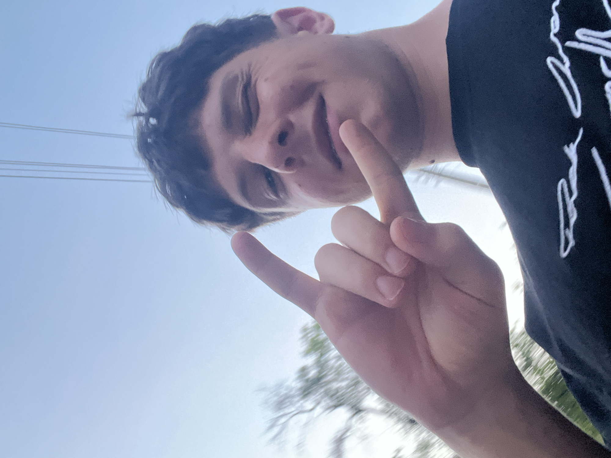 An outdoor, low-angle, close-up shot of a young adult male in Zlatograd, Bulgaria, posing against a clear, light blue sky. The individual, with dark hair, fair skin, and stubble, is winking his right eye and smiling. His left hand is raised in the foreground, forming a "rock on" or "devil horns" gesture with extended index and pinky fingers. He is wearing a black short-sleeved t-shirt with a partial white graphic design visible on the chest. In the background, blurry green and brown foliage from trees is visible on the left, and several thin, dark utility lines stretch horizontally across the upper sky. The lighting is bright, suggesting daytime.