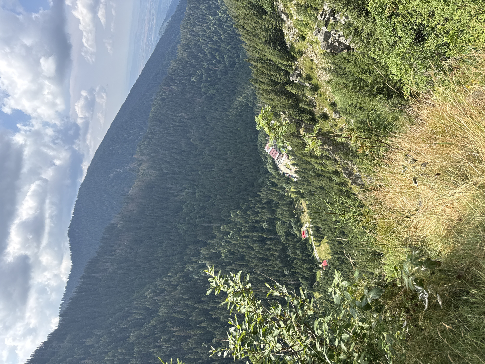 This is a vertical, medium-angle drone shot overlooking a mountainous landscape covered in dense evergreen forest. In the mid-ground, nestled within a clearing in the trees, is a complex of buildings with red roofs. A road with several parked cars leads to these buildings. The foreground features a steep slope covered in dry, golden grass and some green foliage, with a rocky outcrop on the right side of the frame. The background reveals successive layers of forested mountains receding into the distance, meeting a hazy horizon under a sky with scattered white and gray clouds. The scene appears to be located near Cârțișoara, Romania, likely in a mountainous tourist area such as Transfăgărășan. There are no people visible in the image.